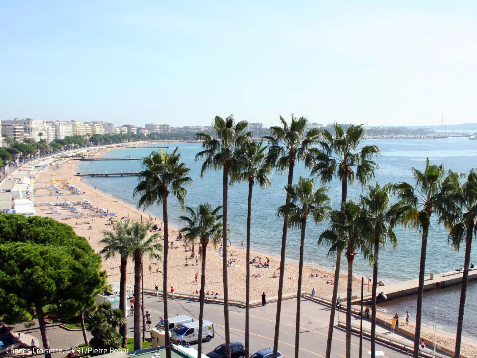 Luxury 1 bedroom  Jardin Croisette 265 - Environnement