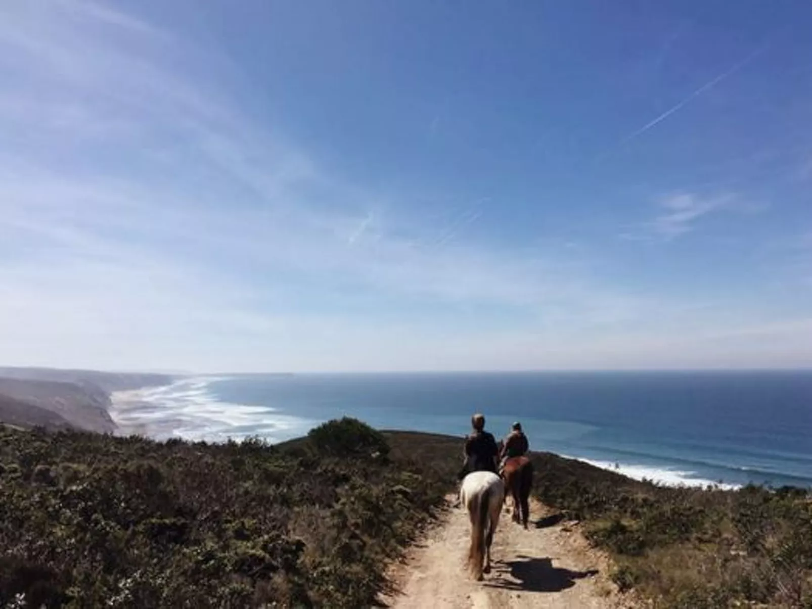 "The Natural Elements" - Outside