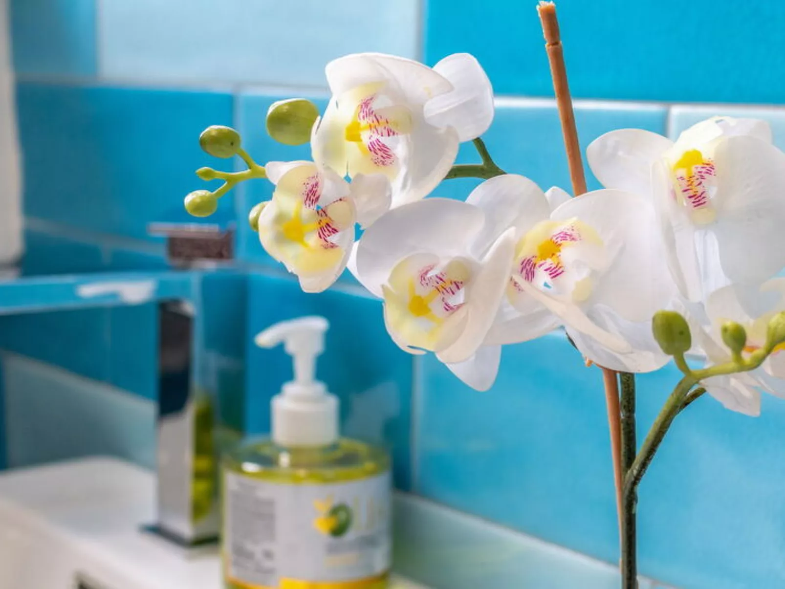 Conero Bluloft - Dedans