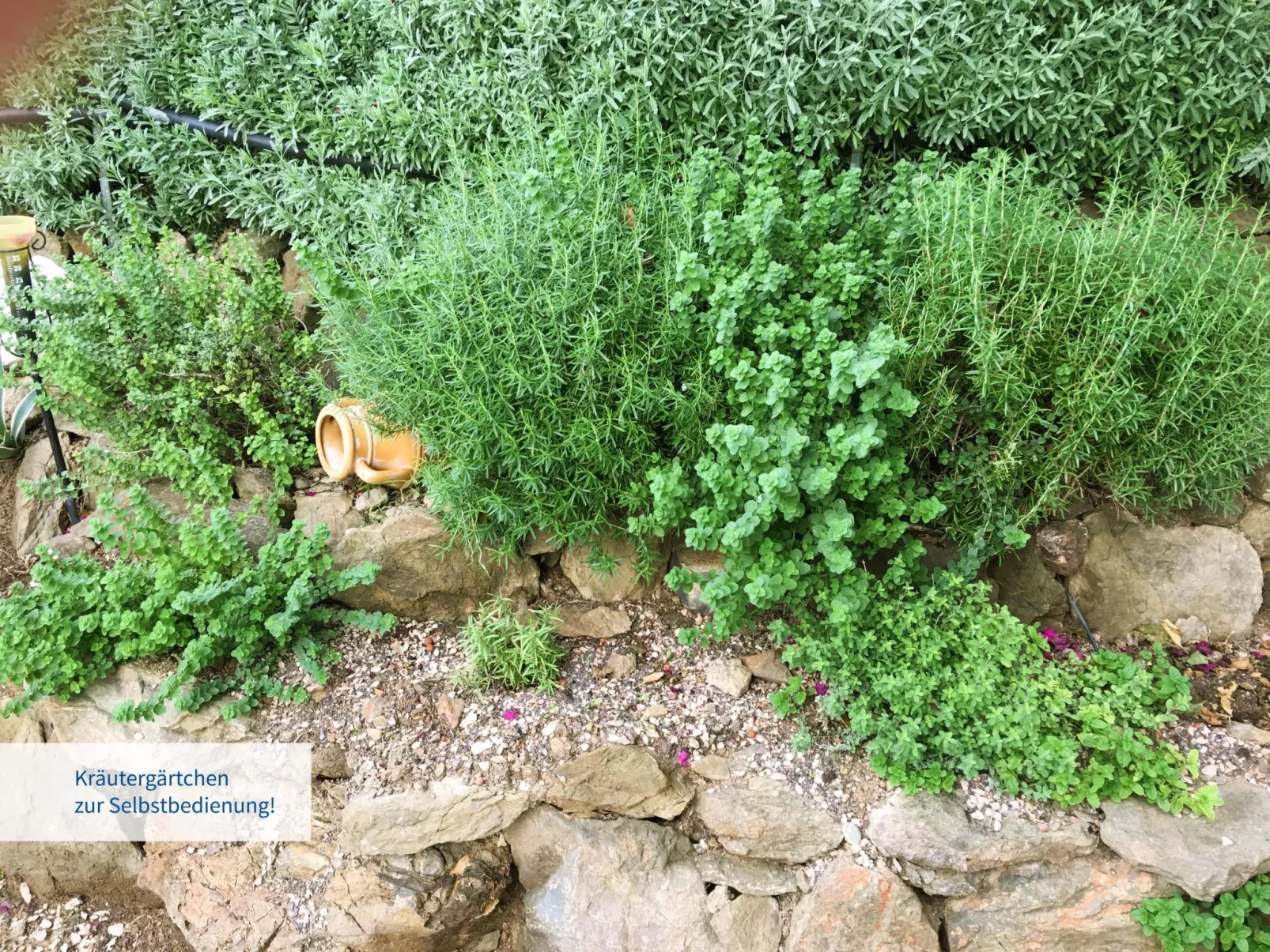 In Ermioni mit Garten, gemeinschaftlichem Pool und Terrasse - Draußen