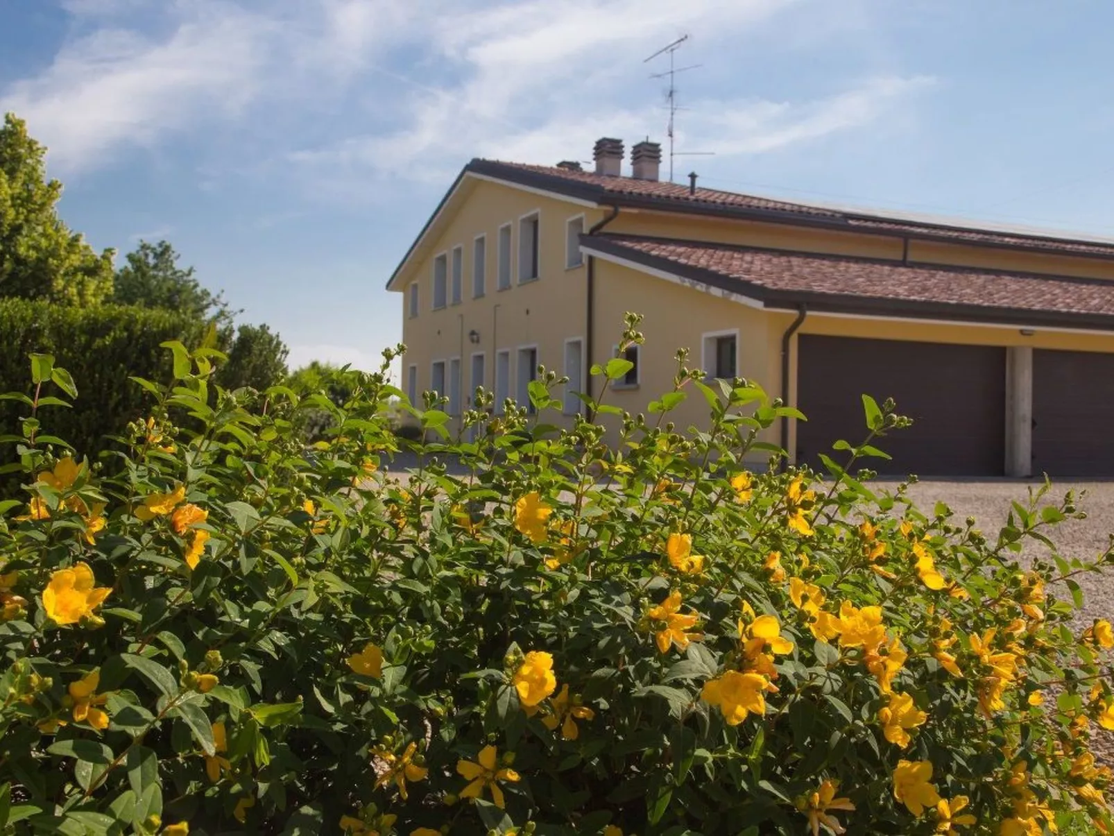 Wohnung "Mimosa" auf einem Bauernhof - Outside