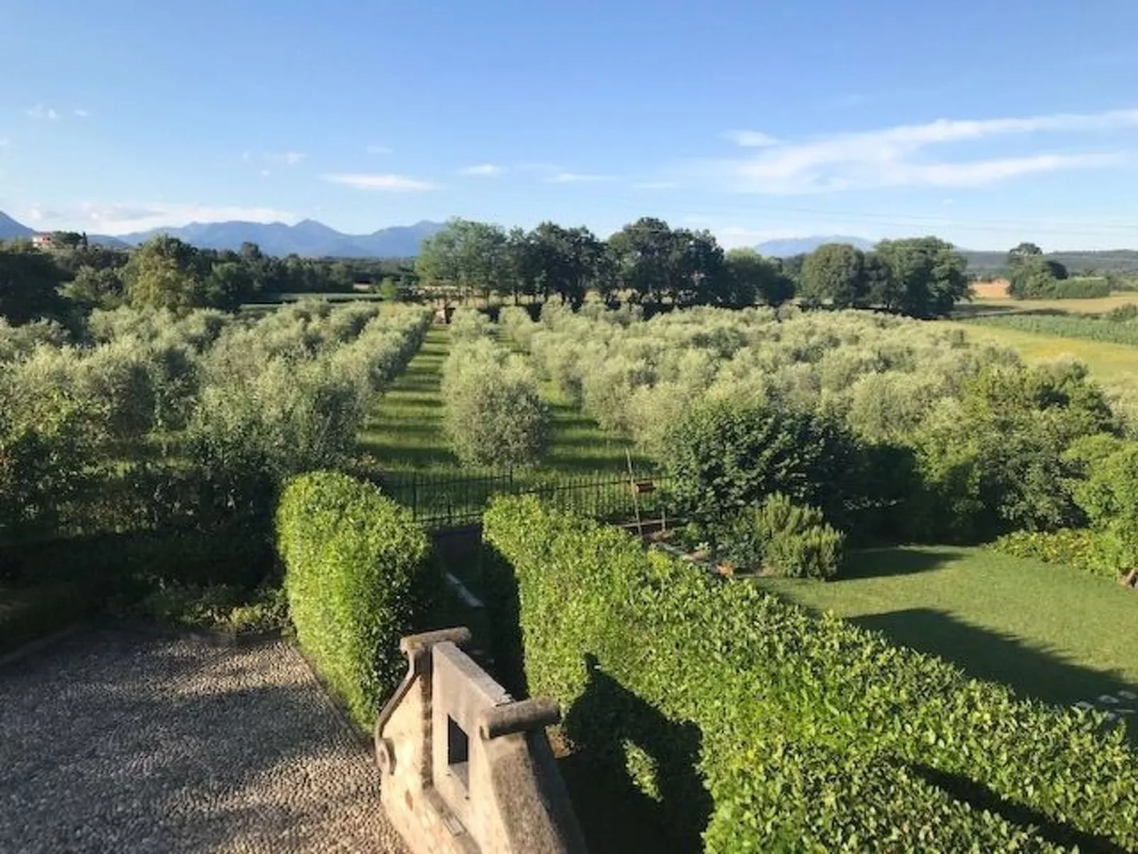 Junior Suite - Image-tags.info