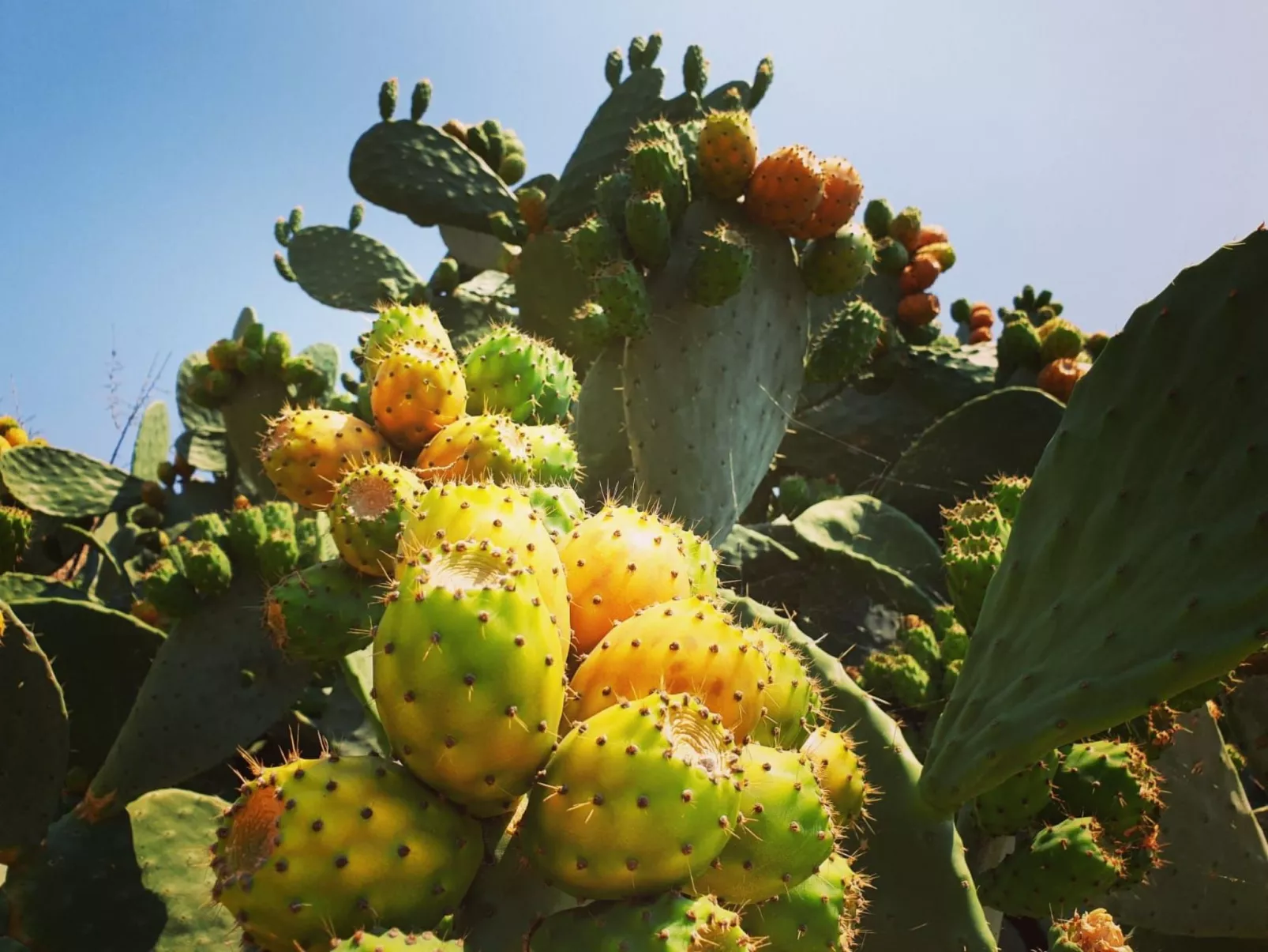 Arcobaleno - Outside