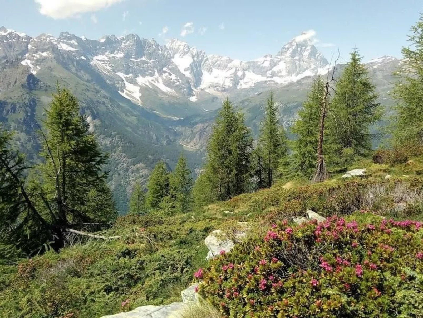 'Lo Chalet' der Balkon über dem Matterhorntal - Outside