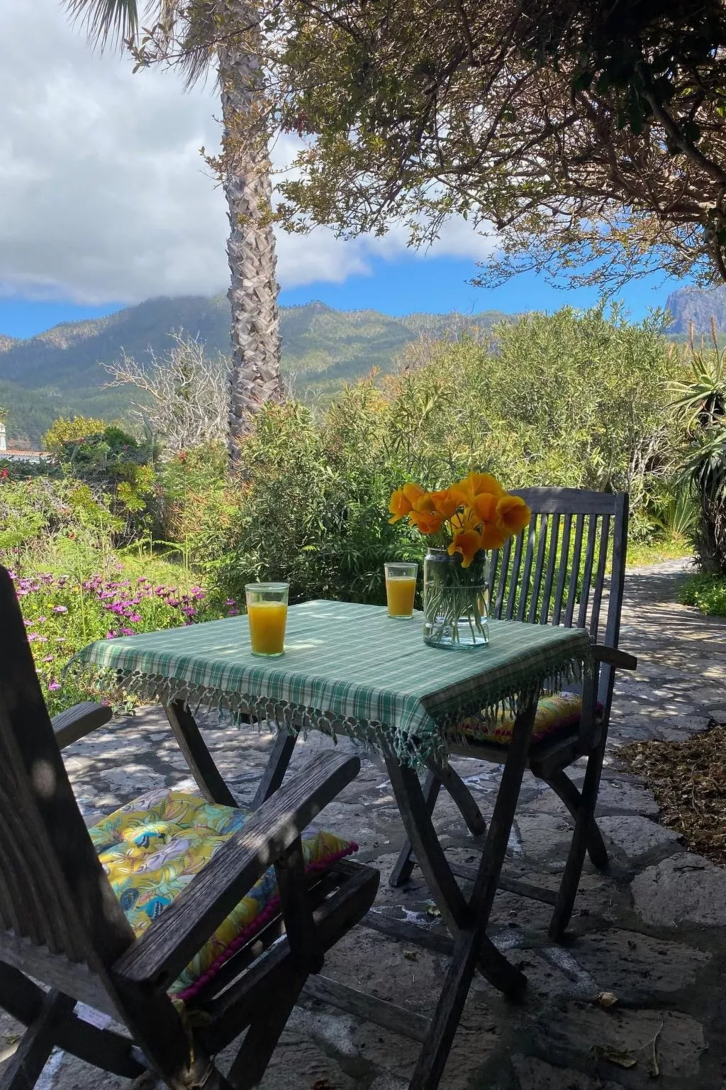 Las Tortugas - Dehors