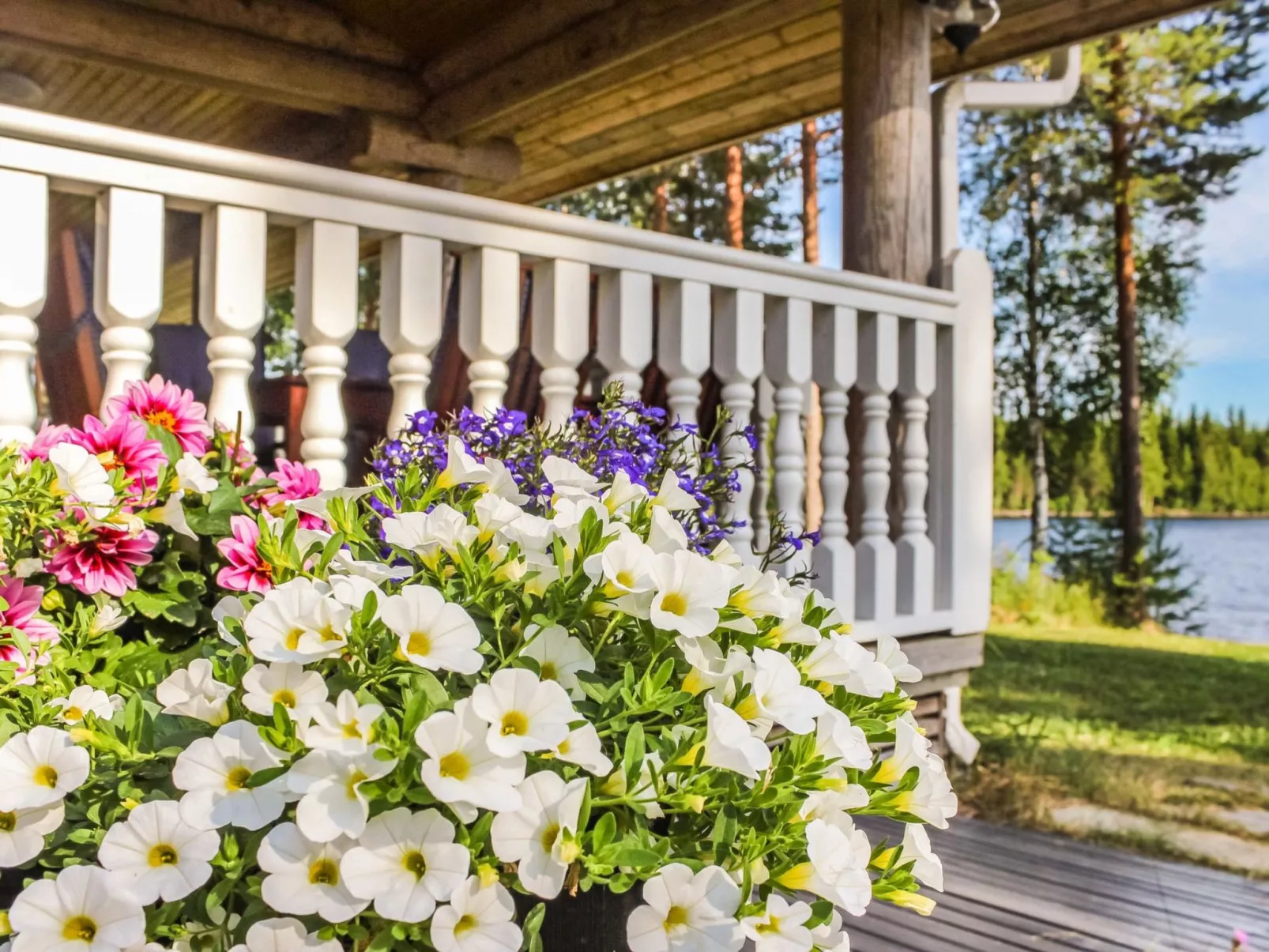 Villa hermanni - Dedans