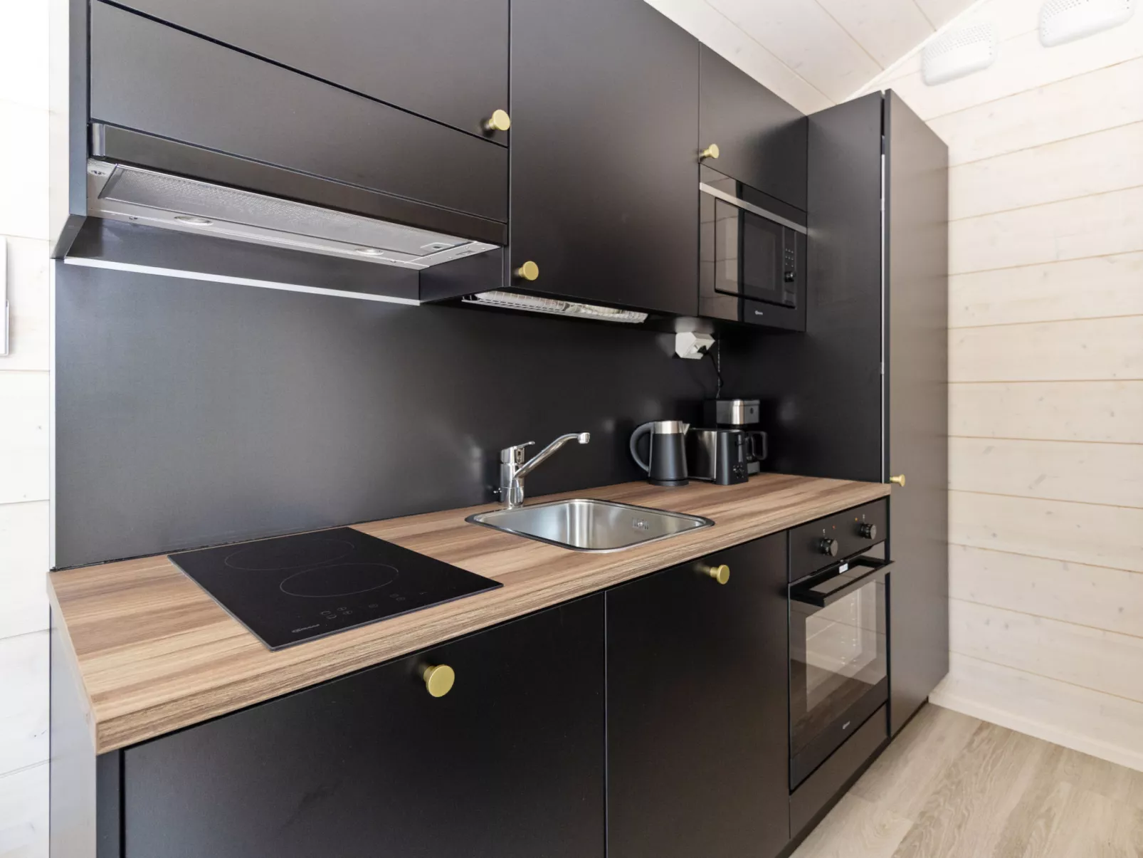 Visit pyhä cabins f - Drinnen