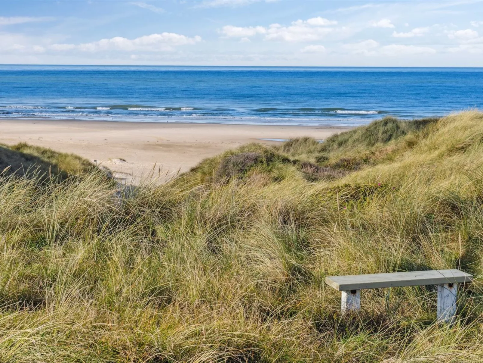 "Pihla" - 150m from the sea - Outside