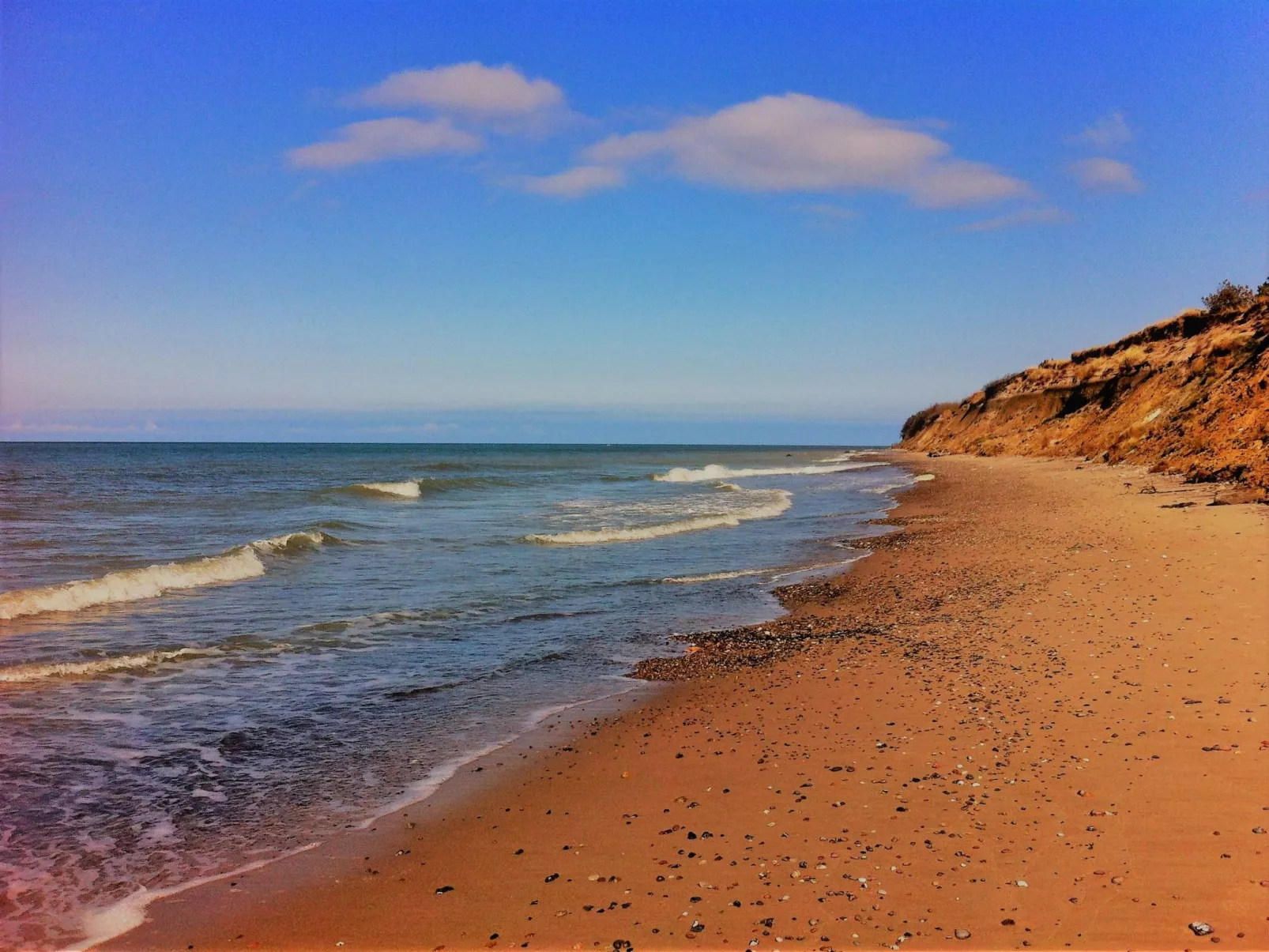 Strandläufer - Image-tags.info