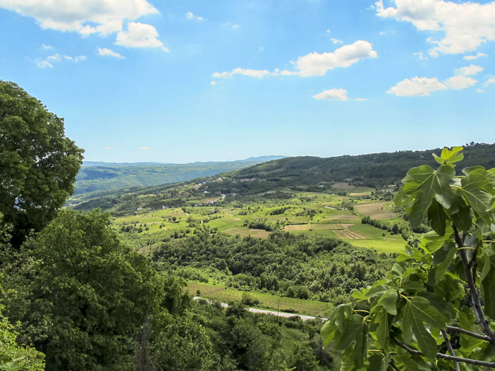 House Horizon - Environnement