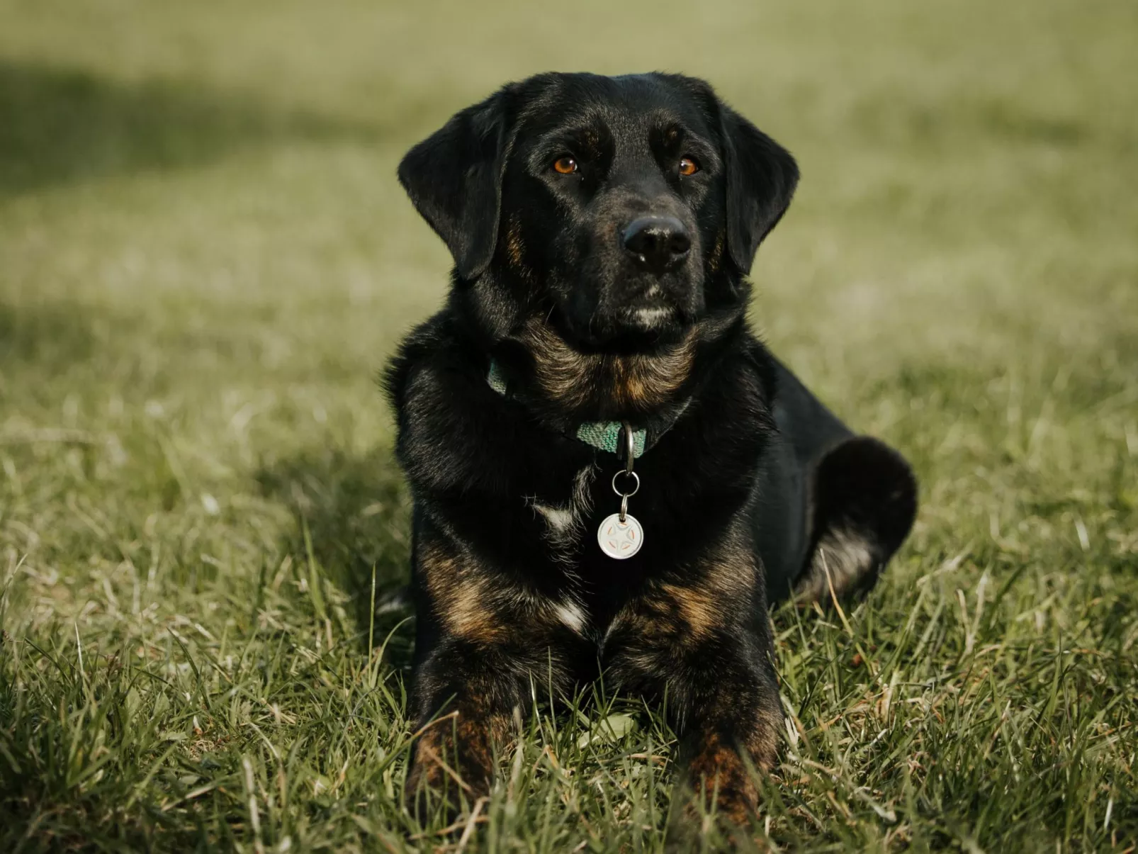 Hof Obertalgut - Draußen