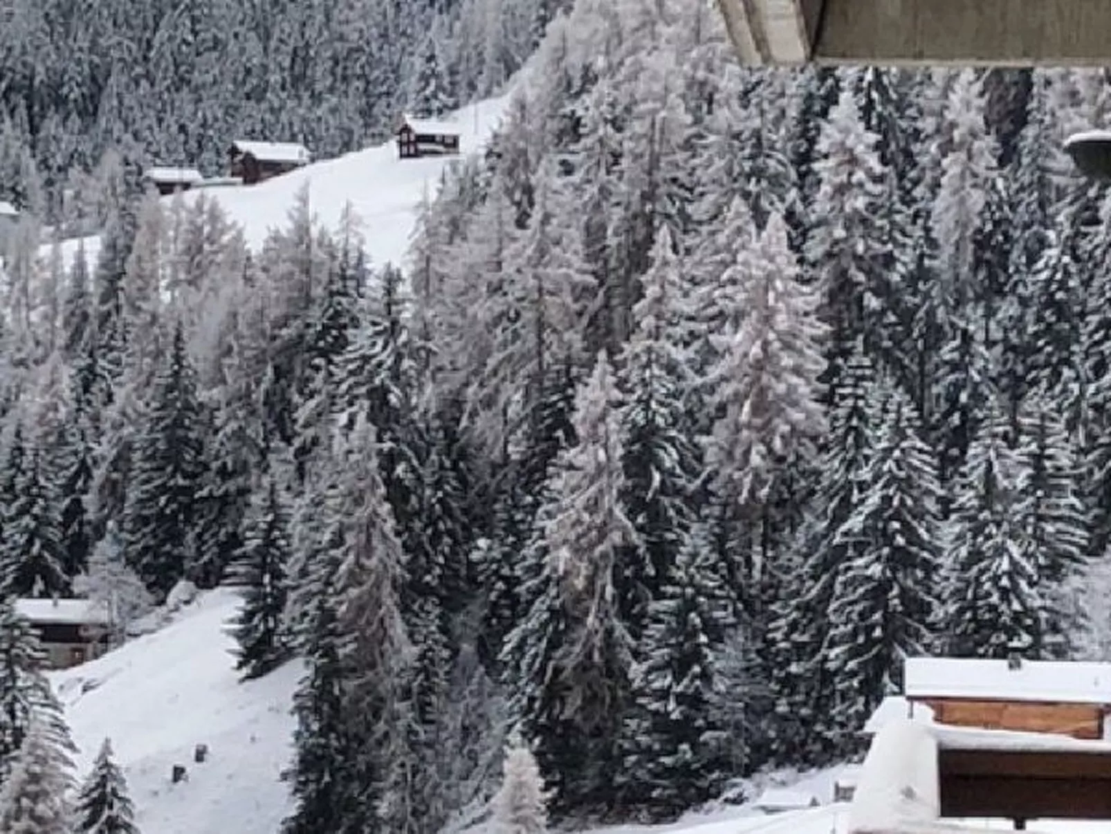 Le Rêve de nos Petites Marmottes - Dehors