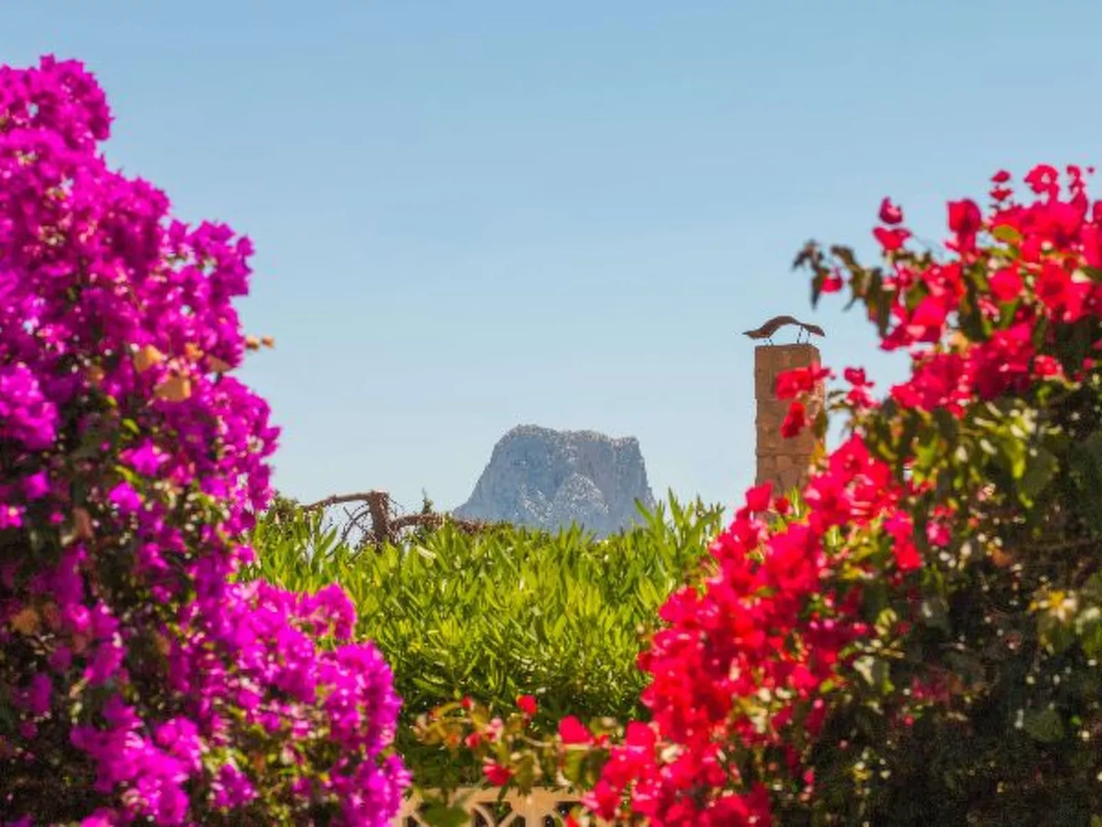 Villa Erik - PlusHolidays - Image-tags.info