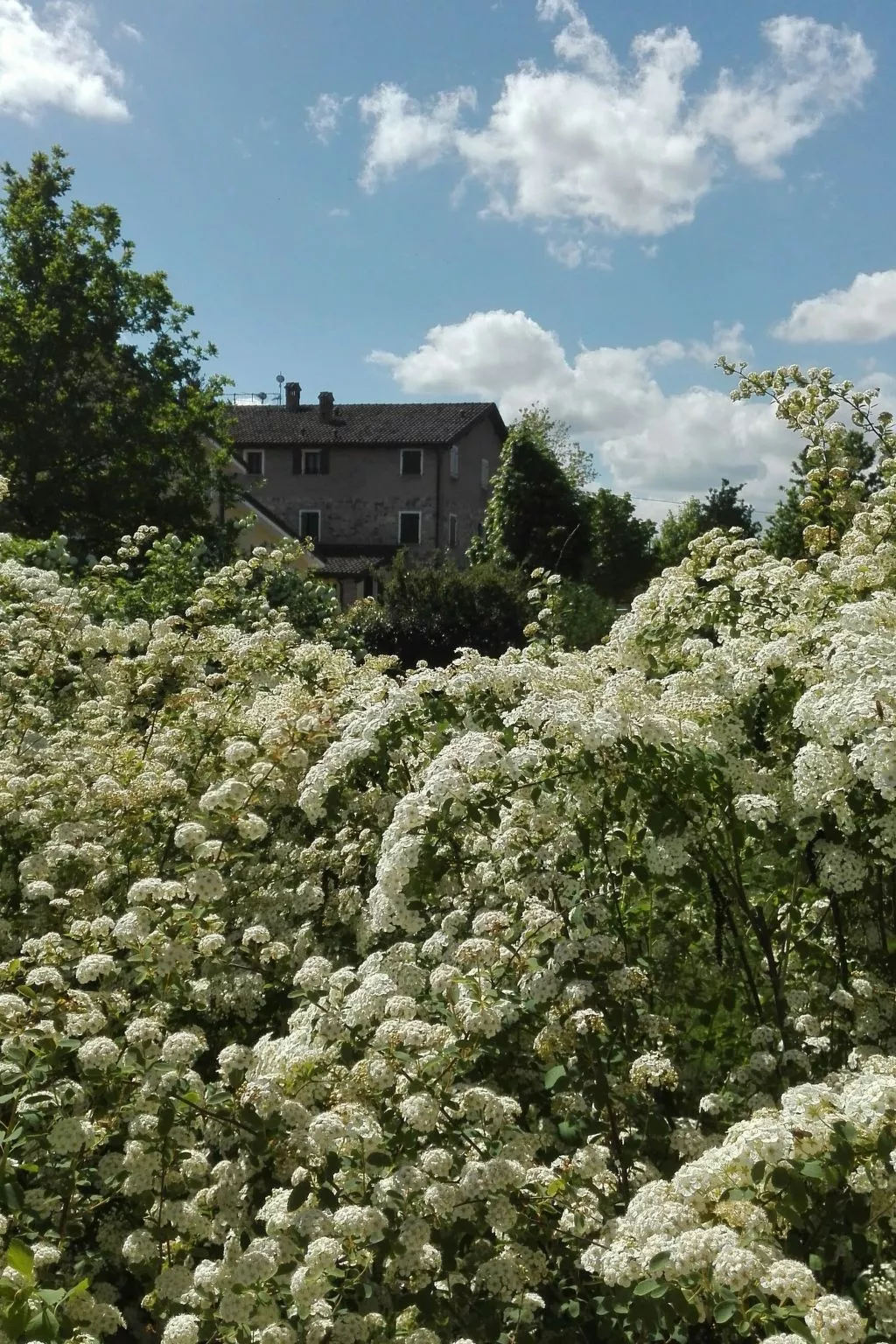 Wohnung "Angelica" auf einem Bauernhof - Image-tags.info