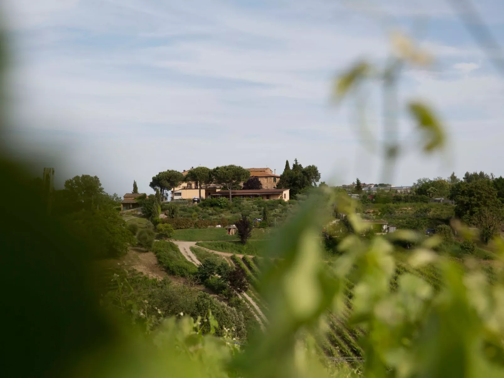 Agriturismo Poggio Pistolese - Zimmer La Ginestra - Draußen