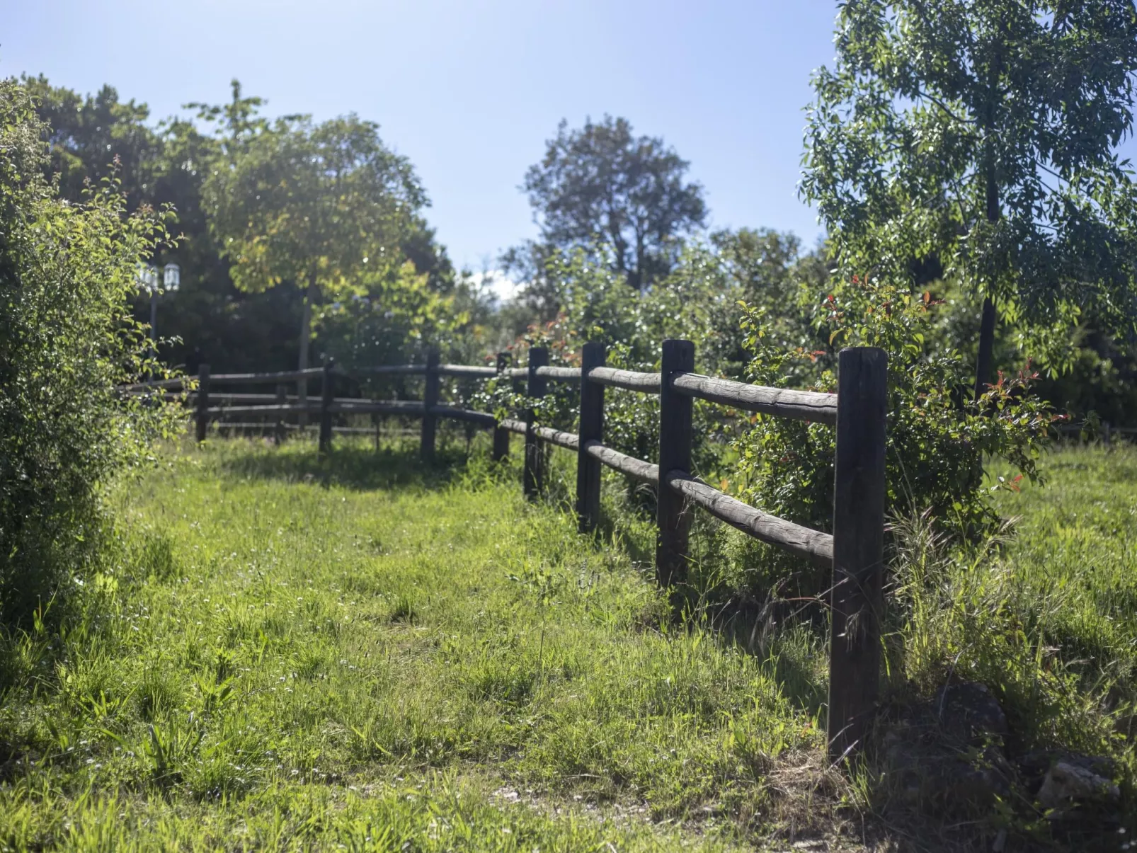 Rural Médulas Haus 1. für 4 PAX belegt. - Draußen