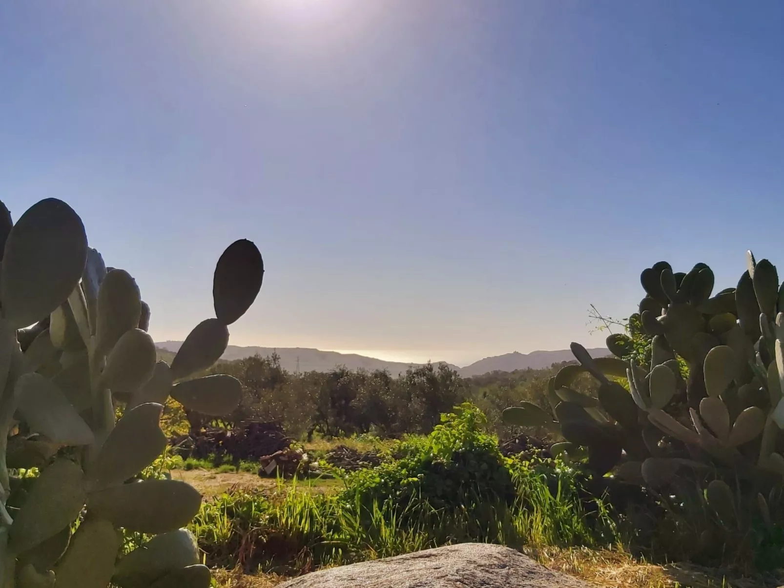 Arcobaleno - Outside