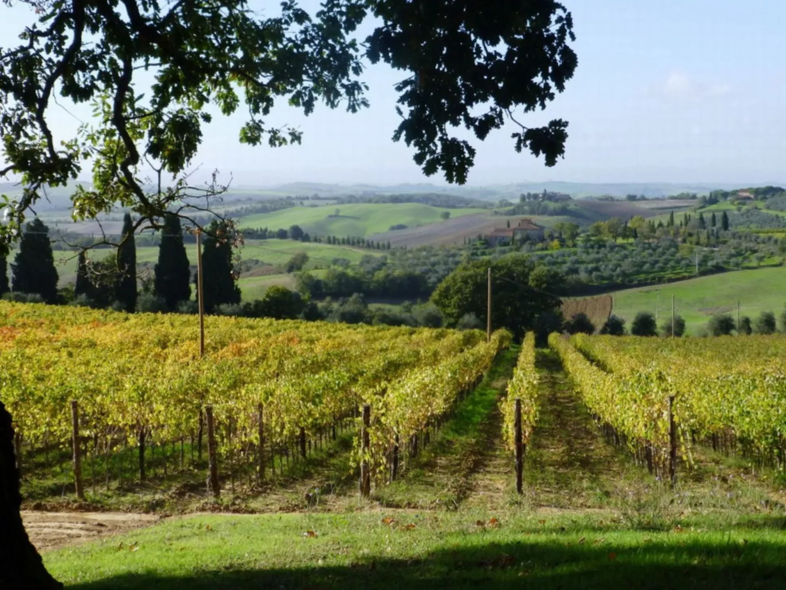 Mit Privatpool für 14 Personen ca. 260 m&sup2; in Trequanda, Toskana (Provinz S - Draußen