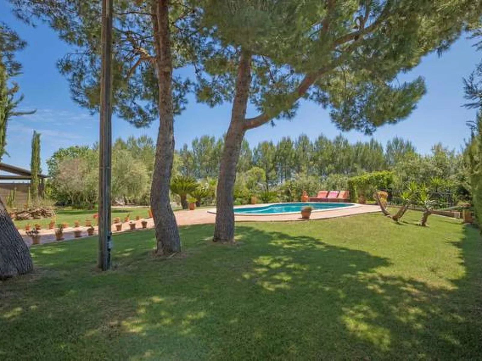 San Vicente - Image-tags.info