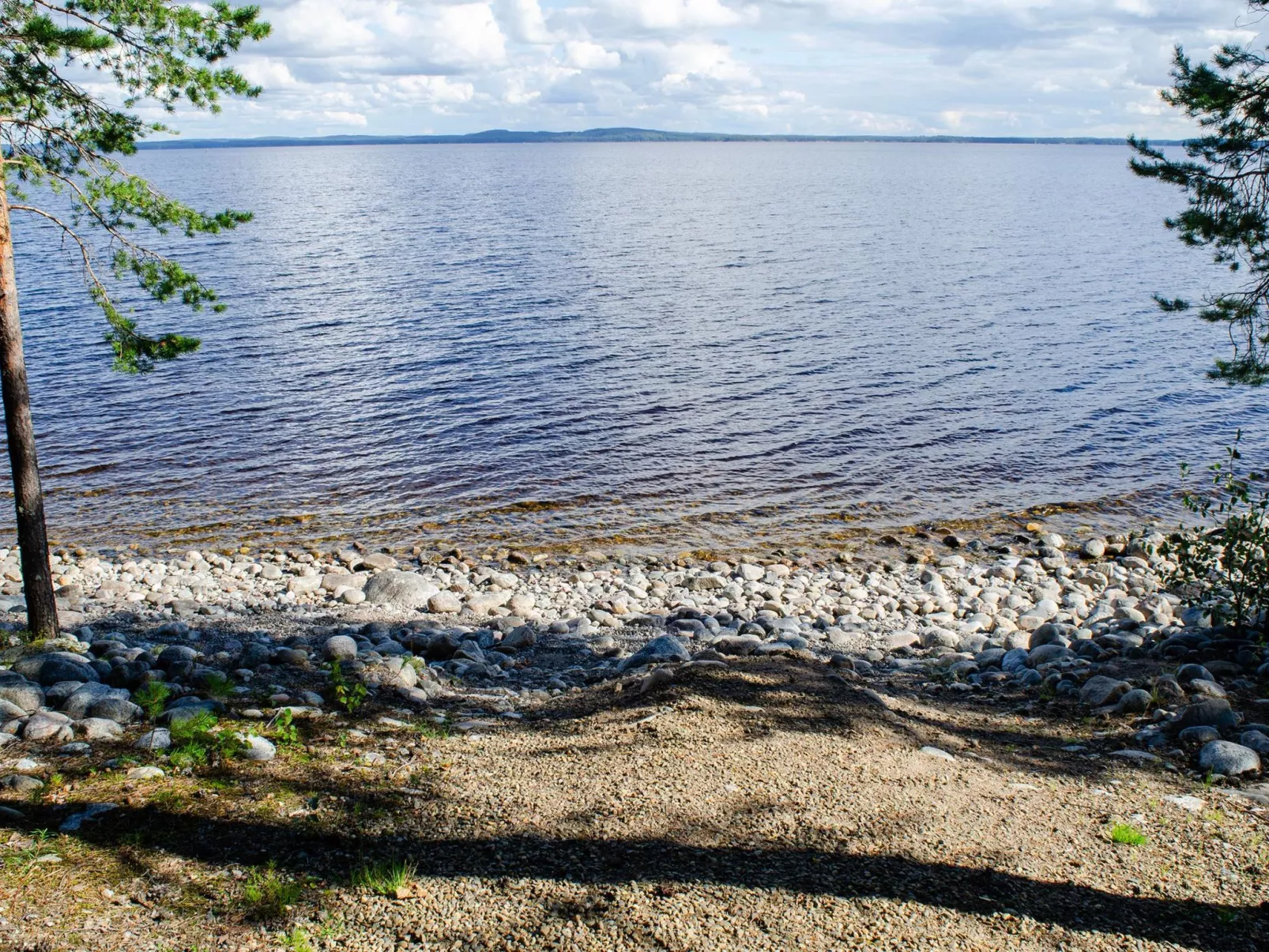 Kolin vernetti 1 - Dedans