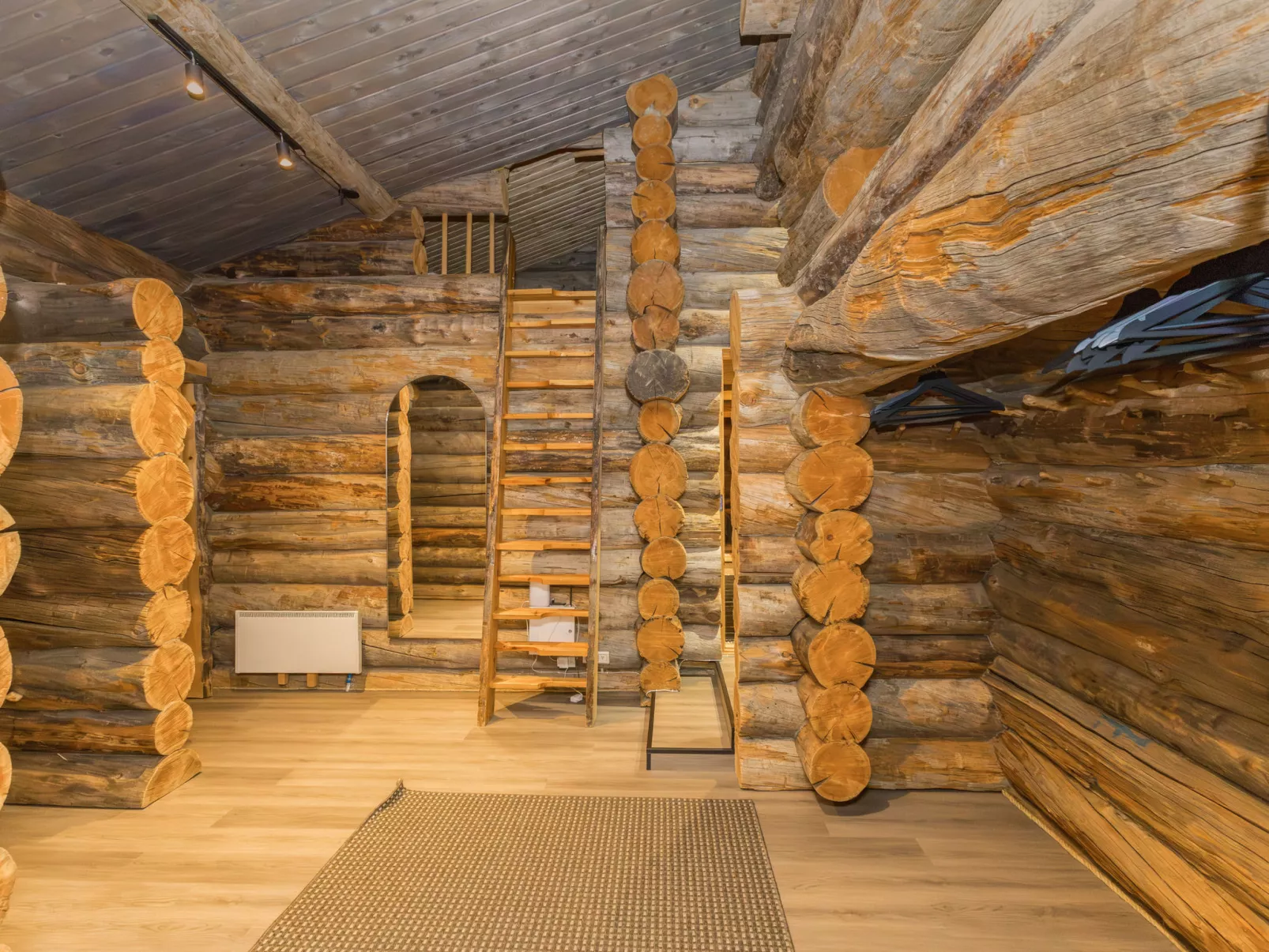 Lumikenttien kutsu - Dedans