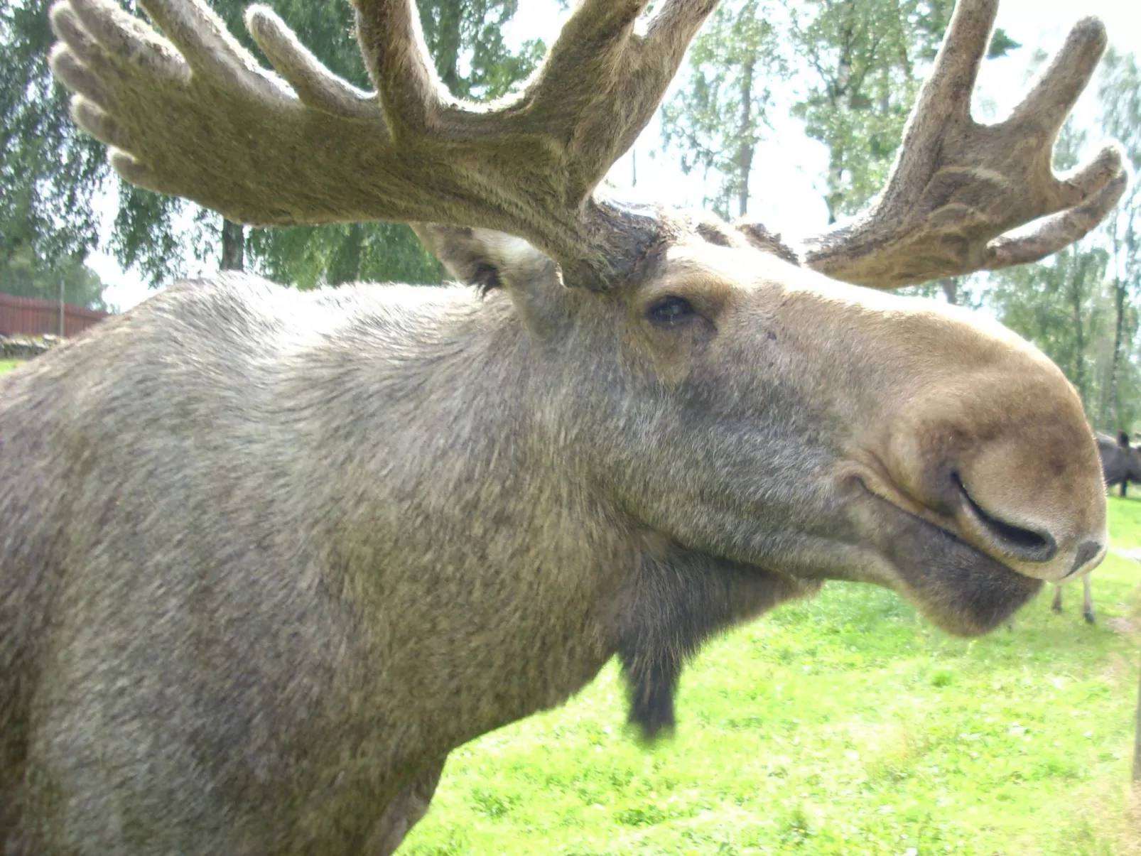 Cottage mit Whirlpool - Outside
