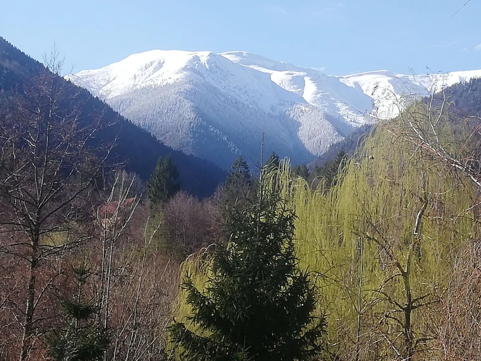 Vila Roberta Breaza Brasov - Outside