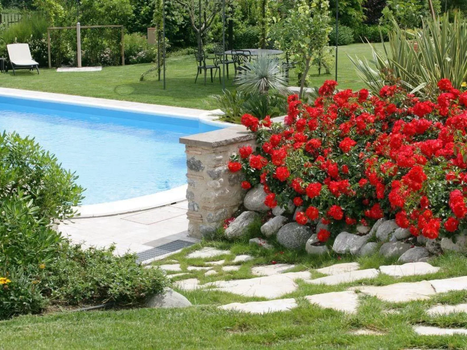 Kamera Arancio - Image-tags.info