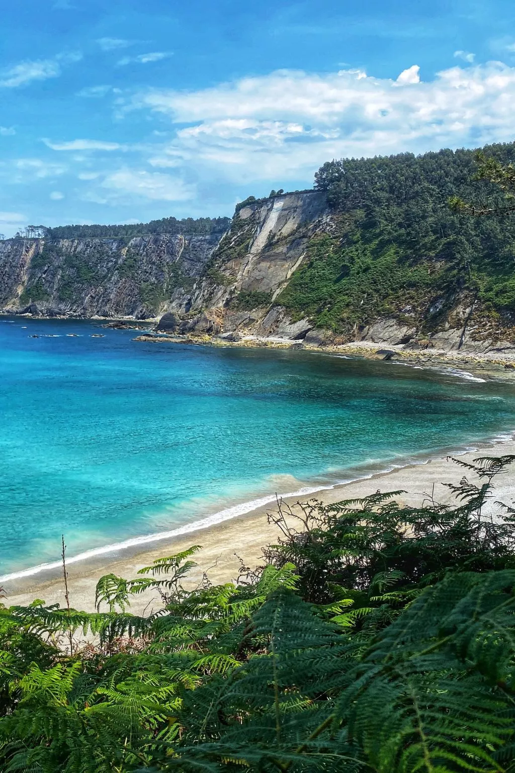 Ländliches Anwesen "Mar y Montaña" (Meer und Berge) - Dehors
