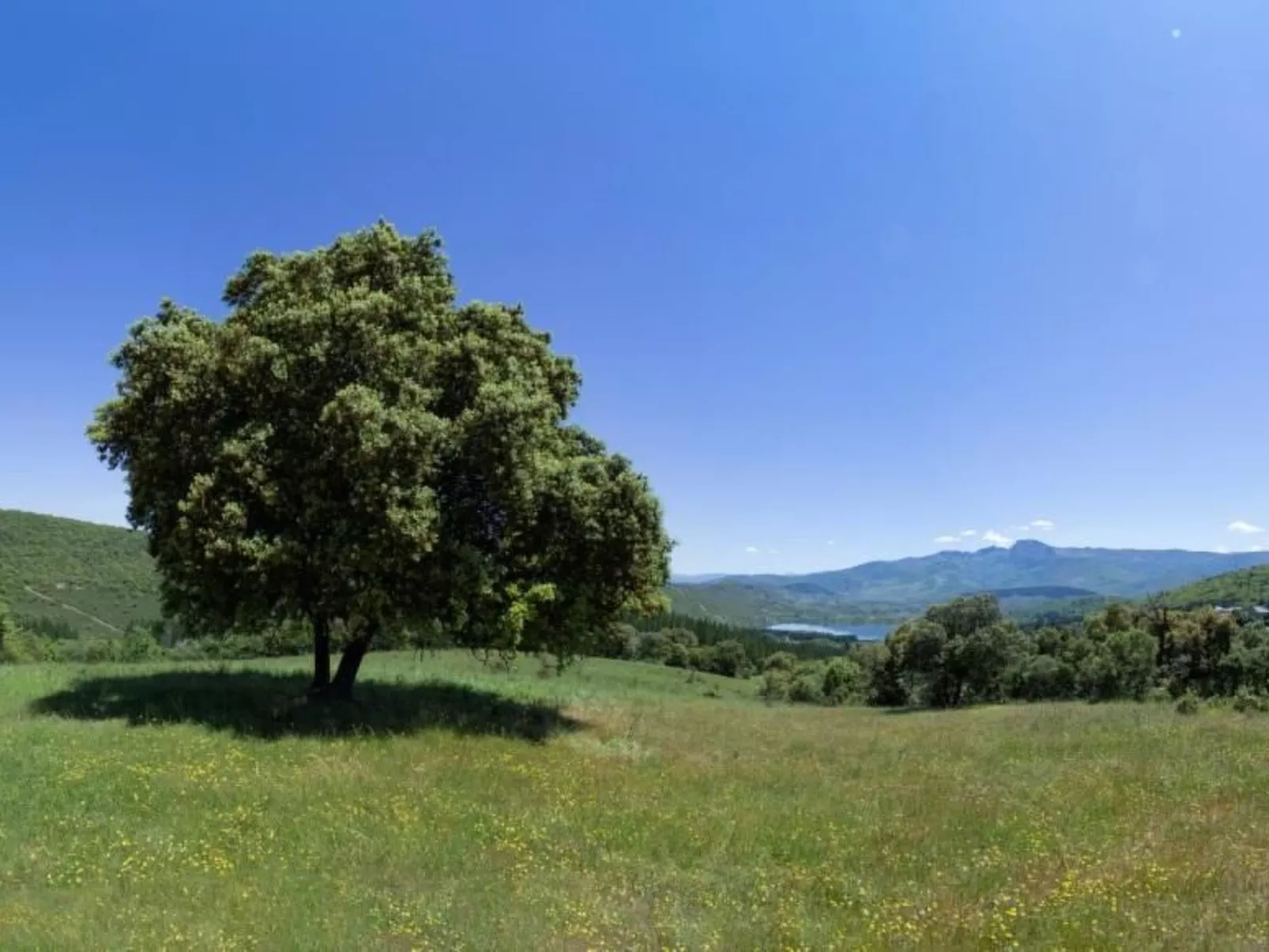 Rural Médulas Haus 1. für 4 PAX belegt. - Draußen