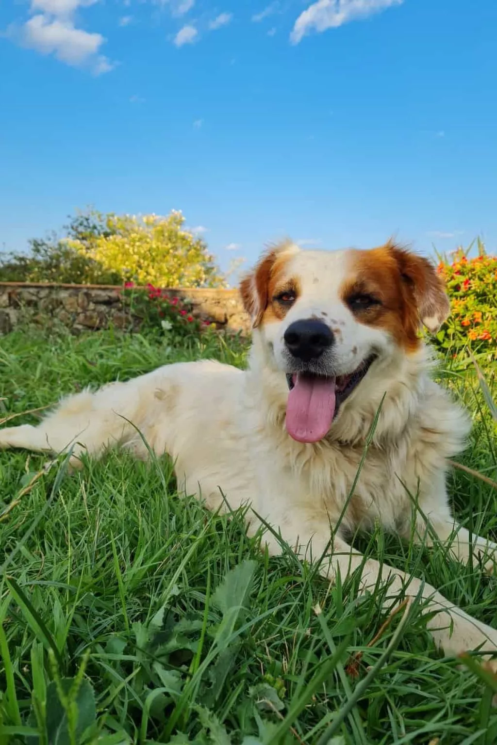 Arcobaleno - Outside