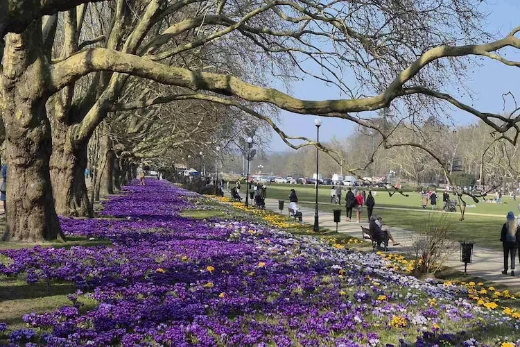 Holiday home in Szczecin for 4 persons at the lake - Gebiete Sommer 20 km