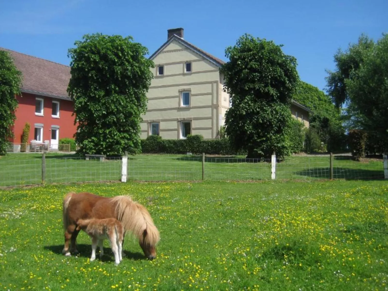 Bungalowpark Landsrade - Draußen