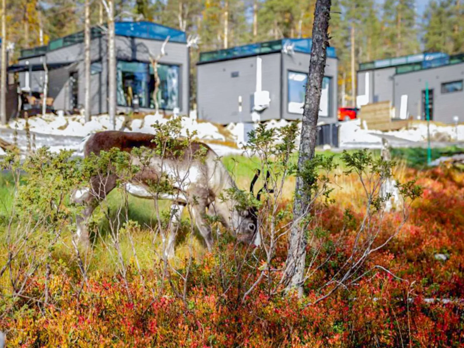 Levi secret igloo revontuli 10d - Dedans