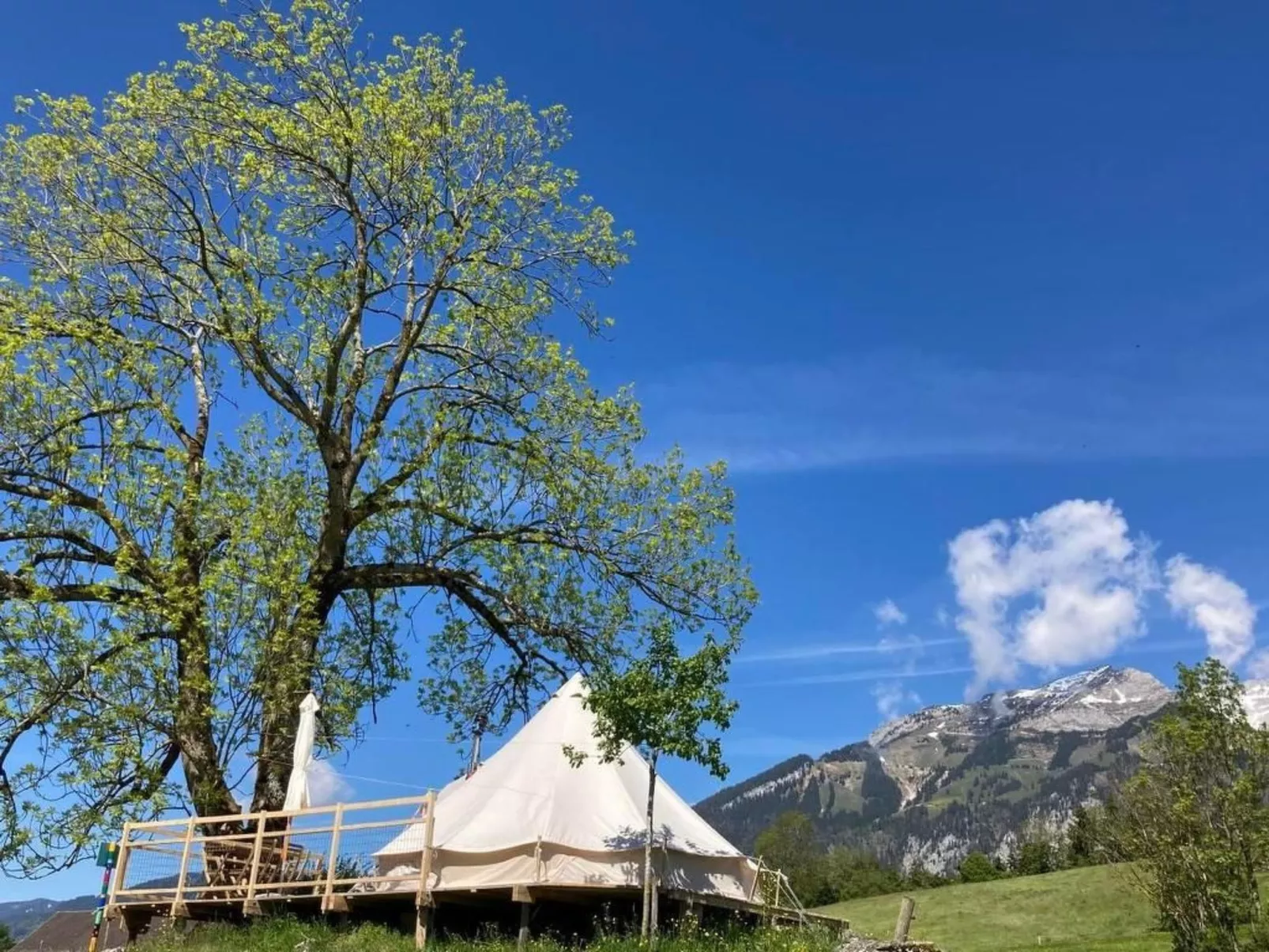 Zeltferien Into the Wäid "Zelt unter der Esche" - Image-tags.info