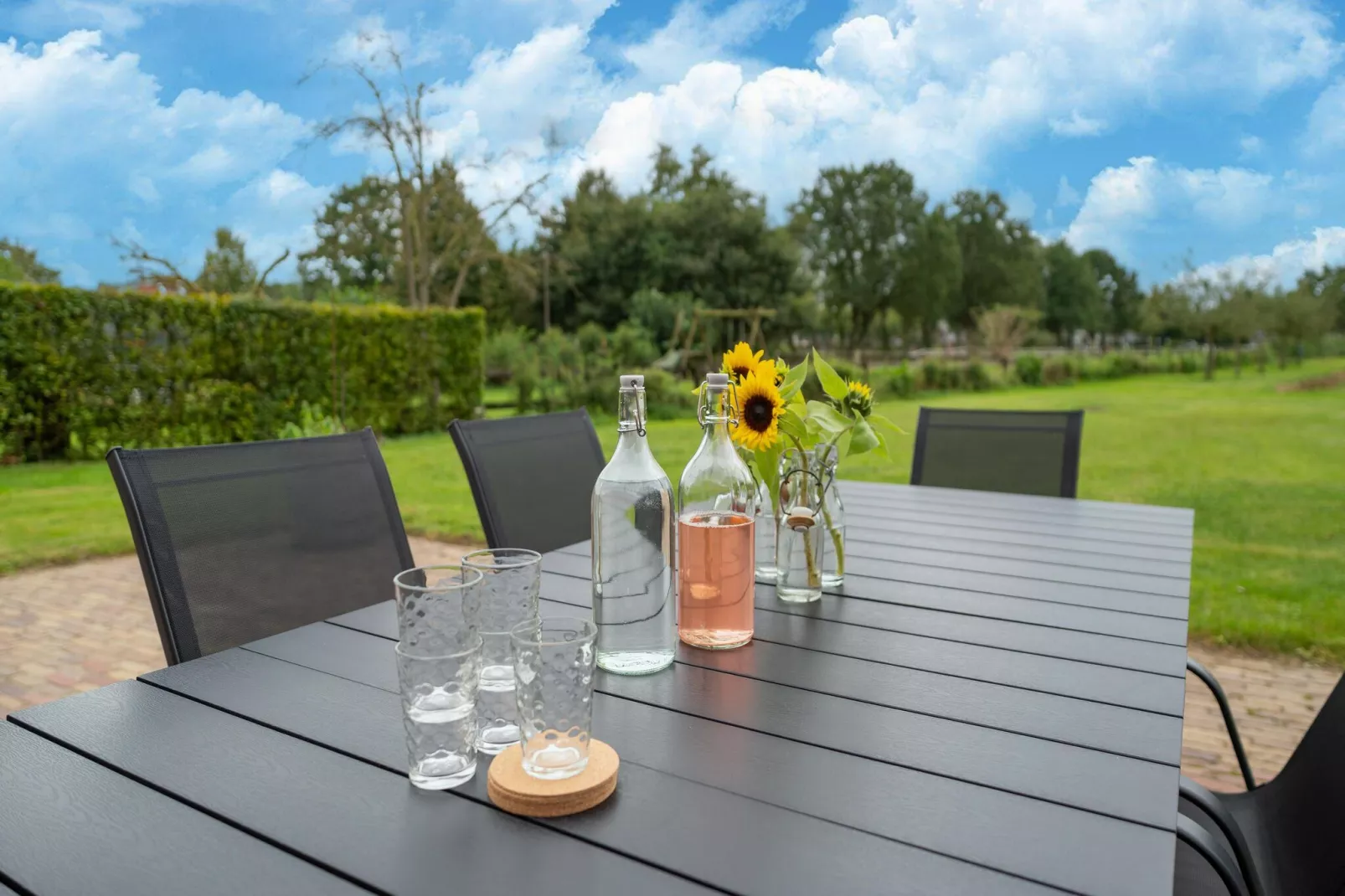 Boerderij No 1-Terrassenbalkon