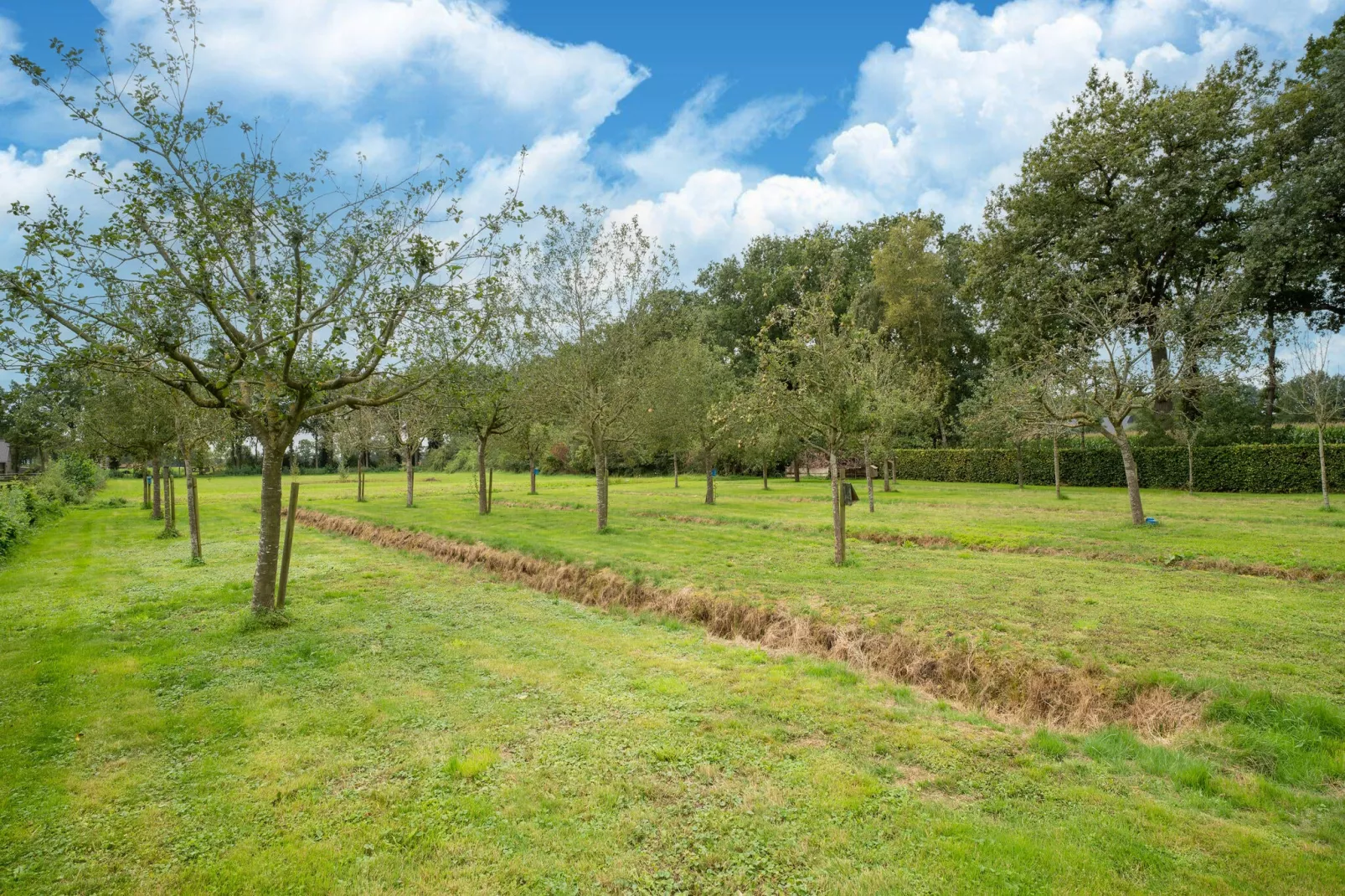 Boerderij No 1-Gärten Sommer