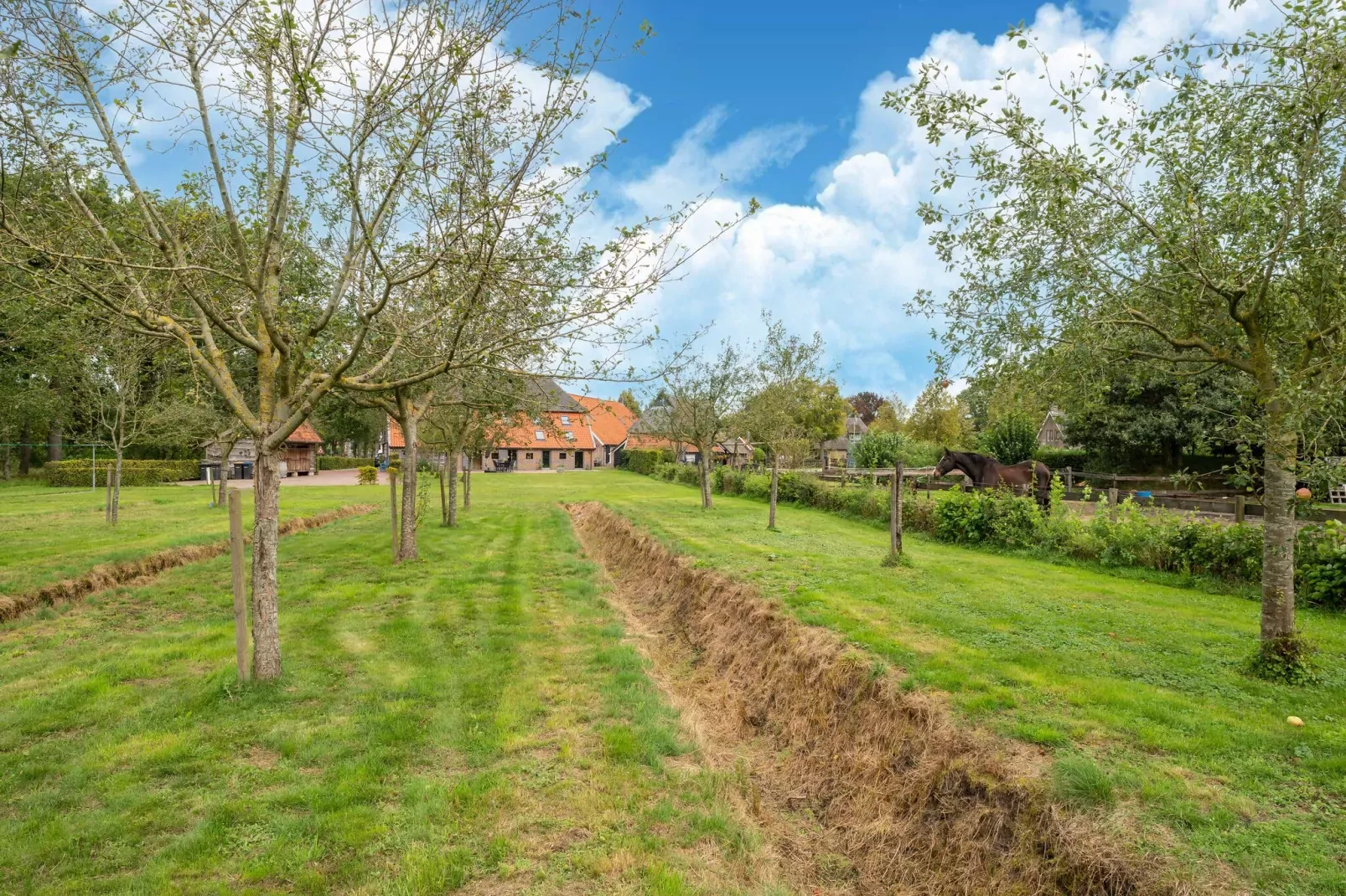 Boerderij No 1-Gärten Sommer