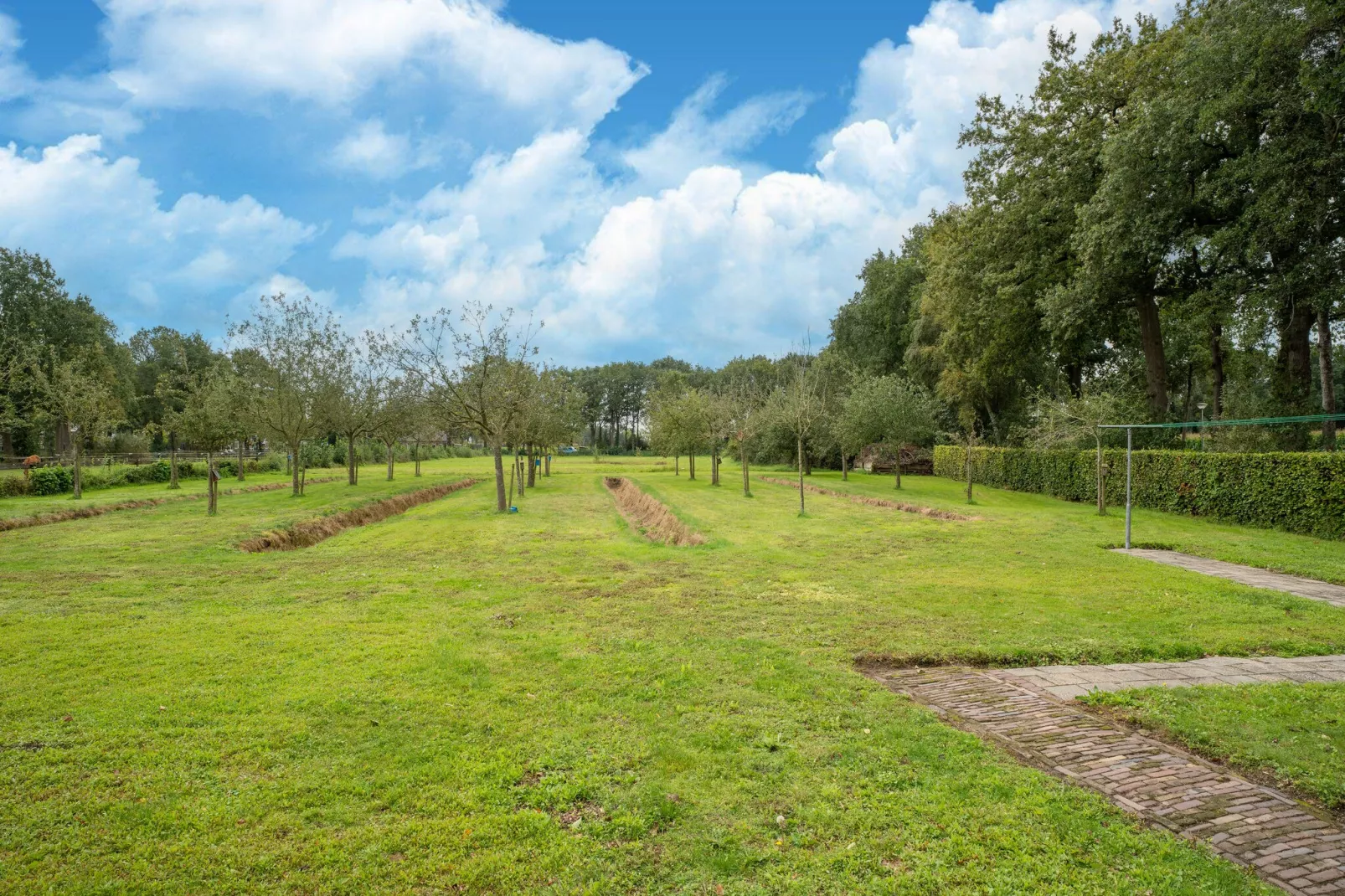 Boerderij No 1-Aussicht Sommer