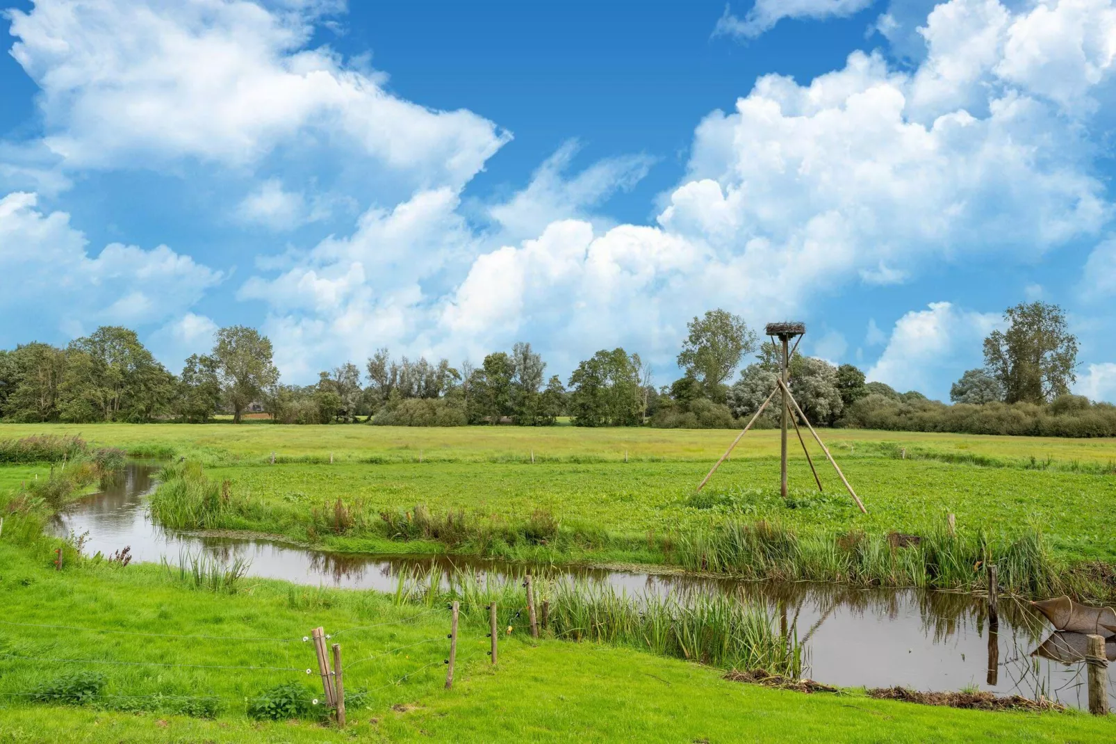 Boerderij No 1-Gebiete Sommer 1 km