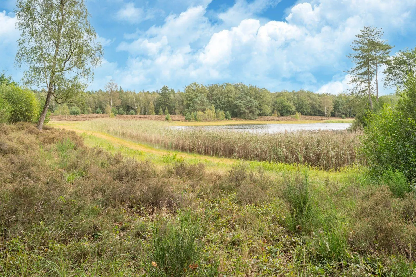 Boerderij No 1-Gebiete Sommer 20 km