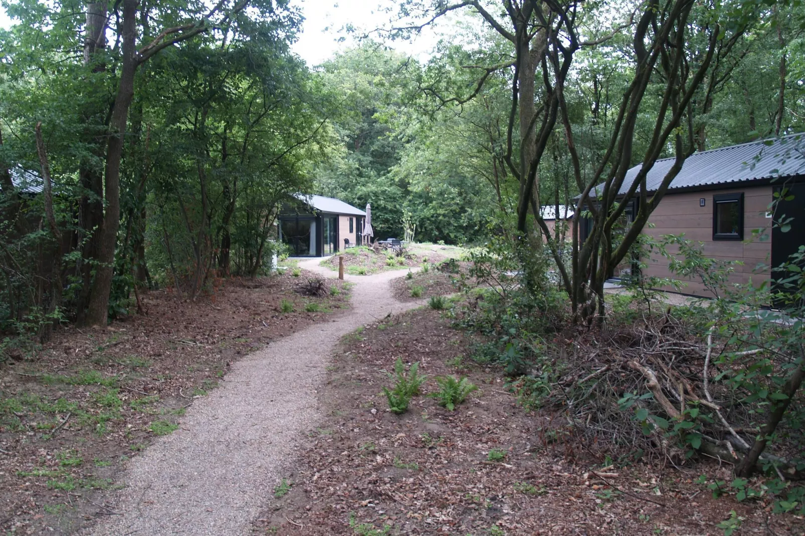 Resort Ruinen 7-Außenbereich Sommer