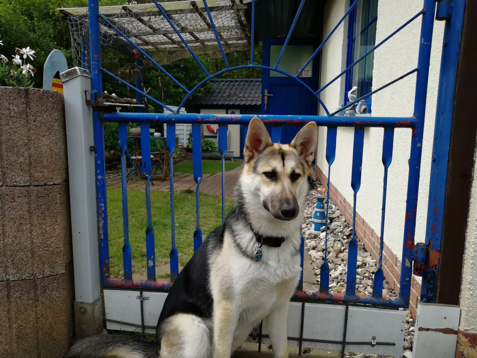 Ferienbungalow auf Gartengrundstück - Outside