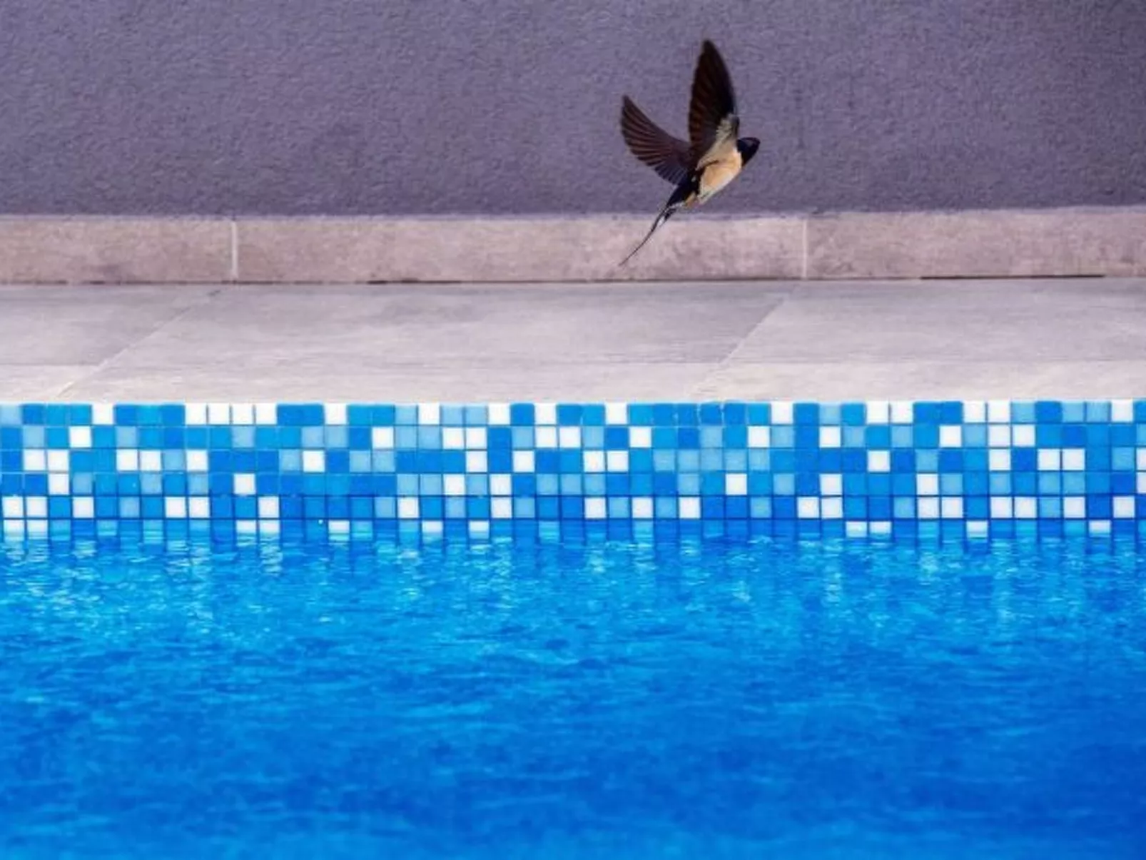 Villa Enna with heated pool - Image-tags.info