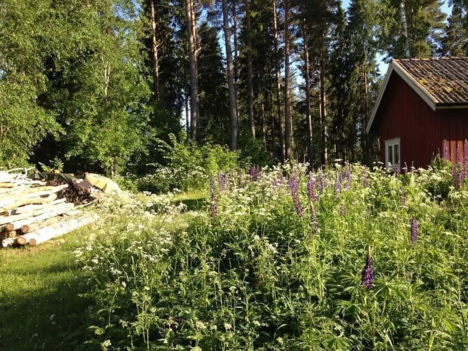 Am See Skagern - Image-tags.info