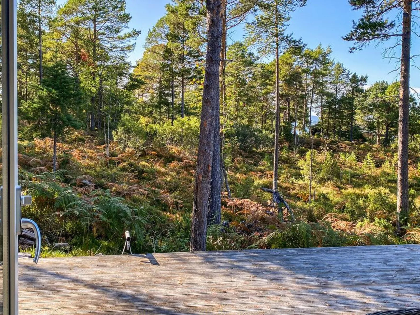 Tingvoll Blockhaus - Draußen