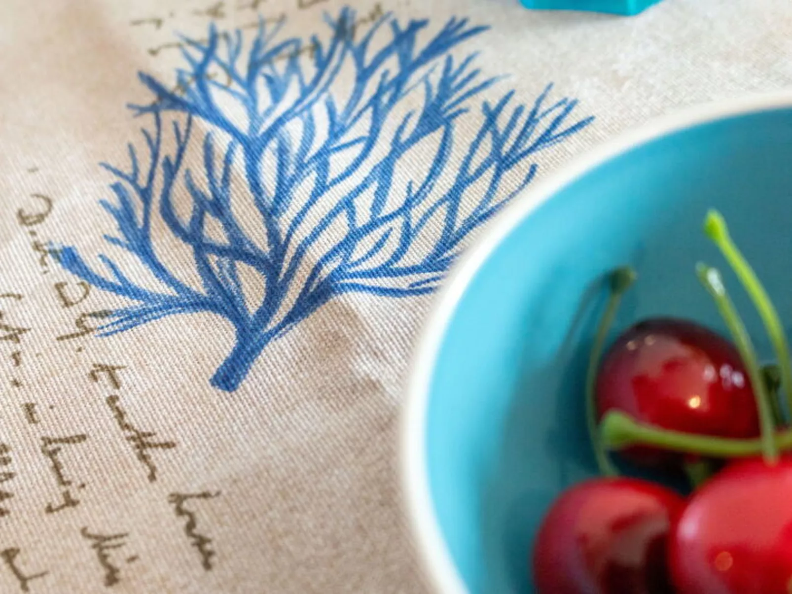 Conero Bluloft - Dedans