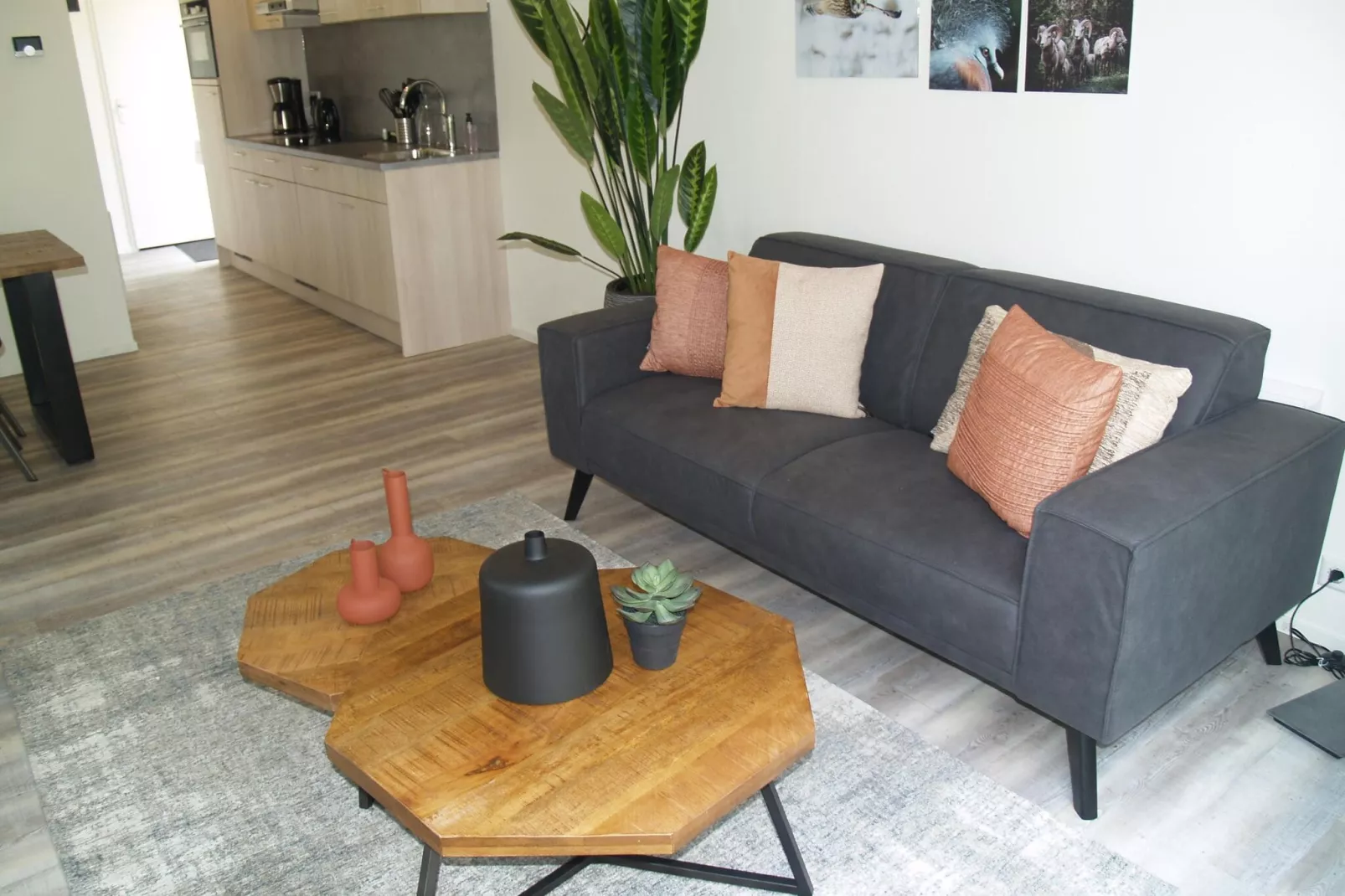 Resort Ruinen 9-Living room