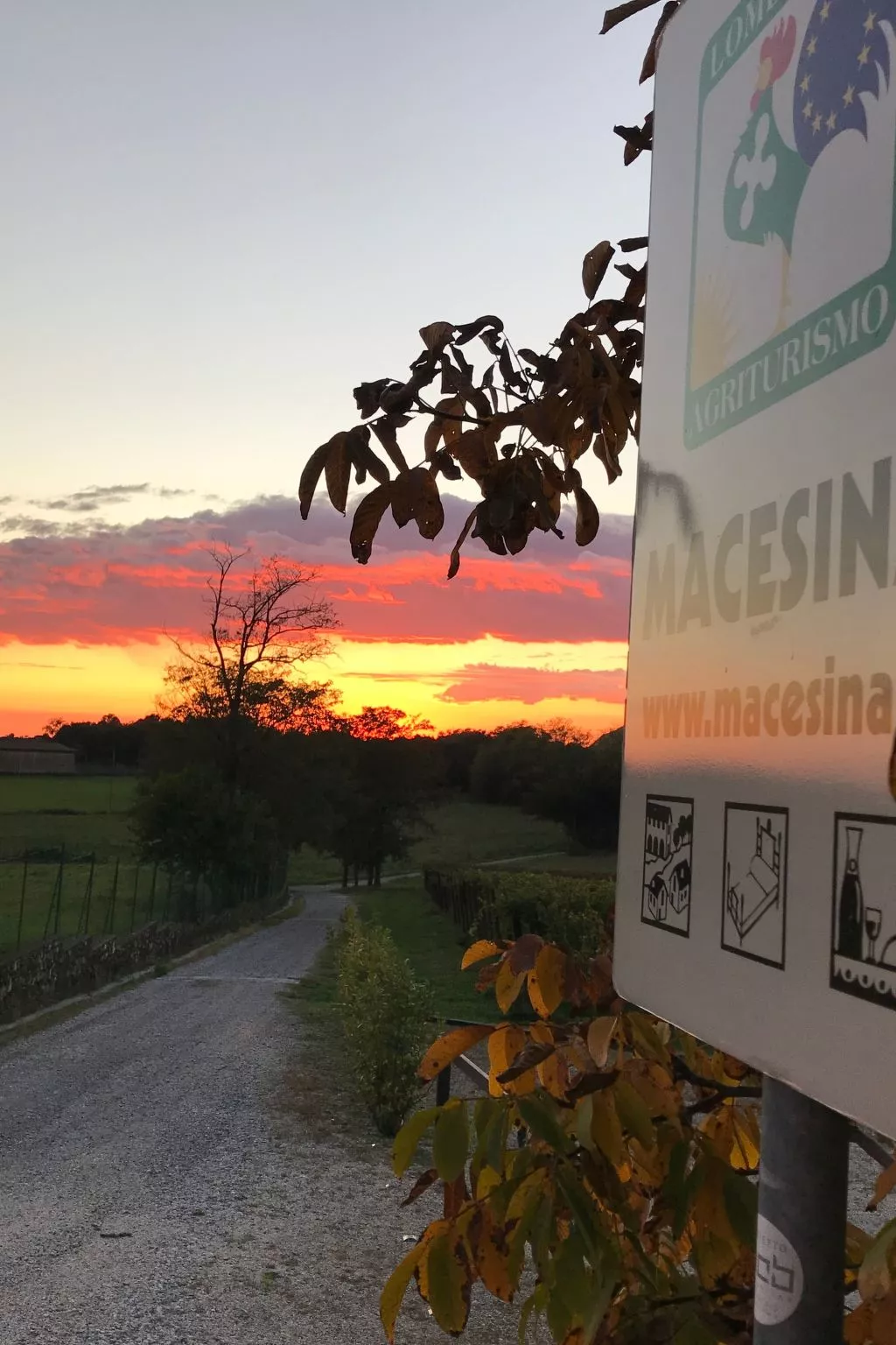 Gelbes Zimmer - Draußen