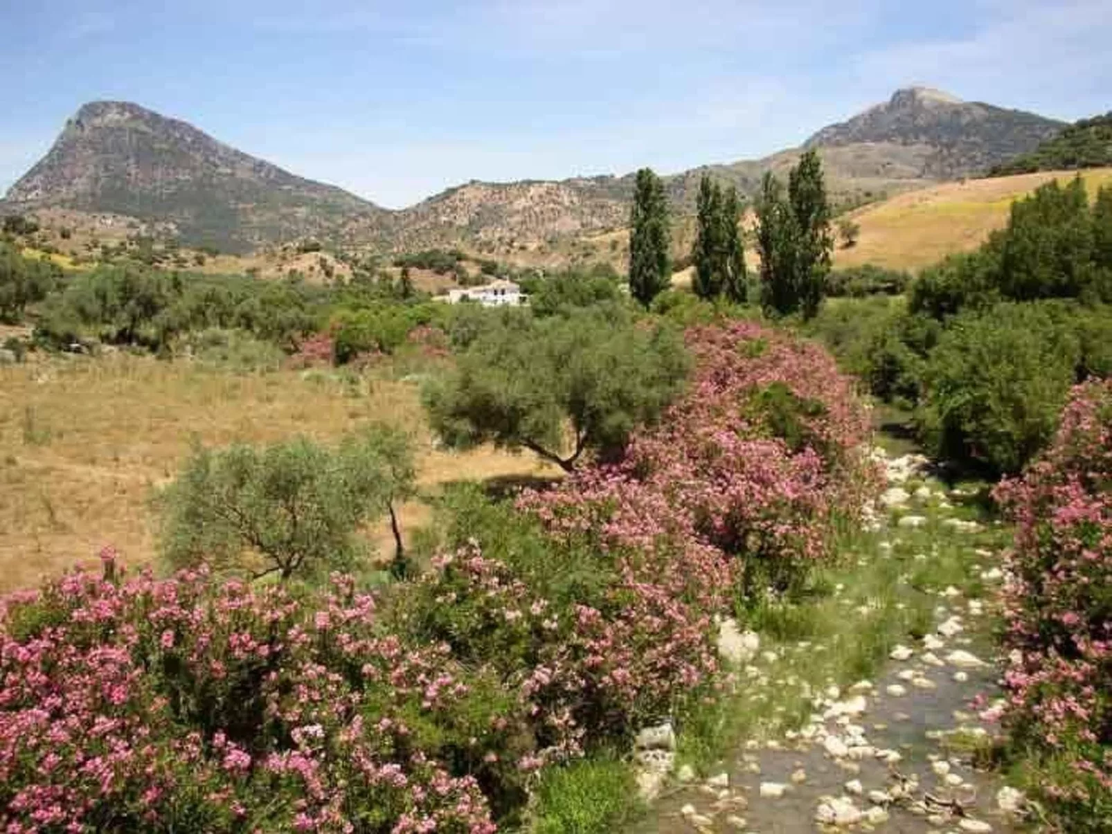 Mit Terrasse in der Nähe eines Wasserfalls - Draußen